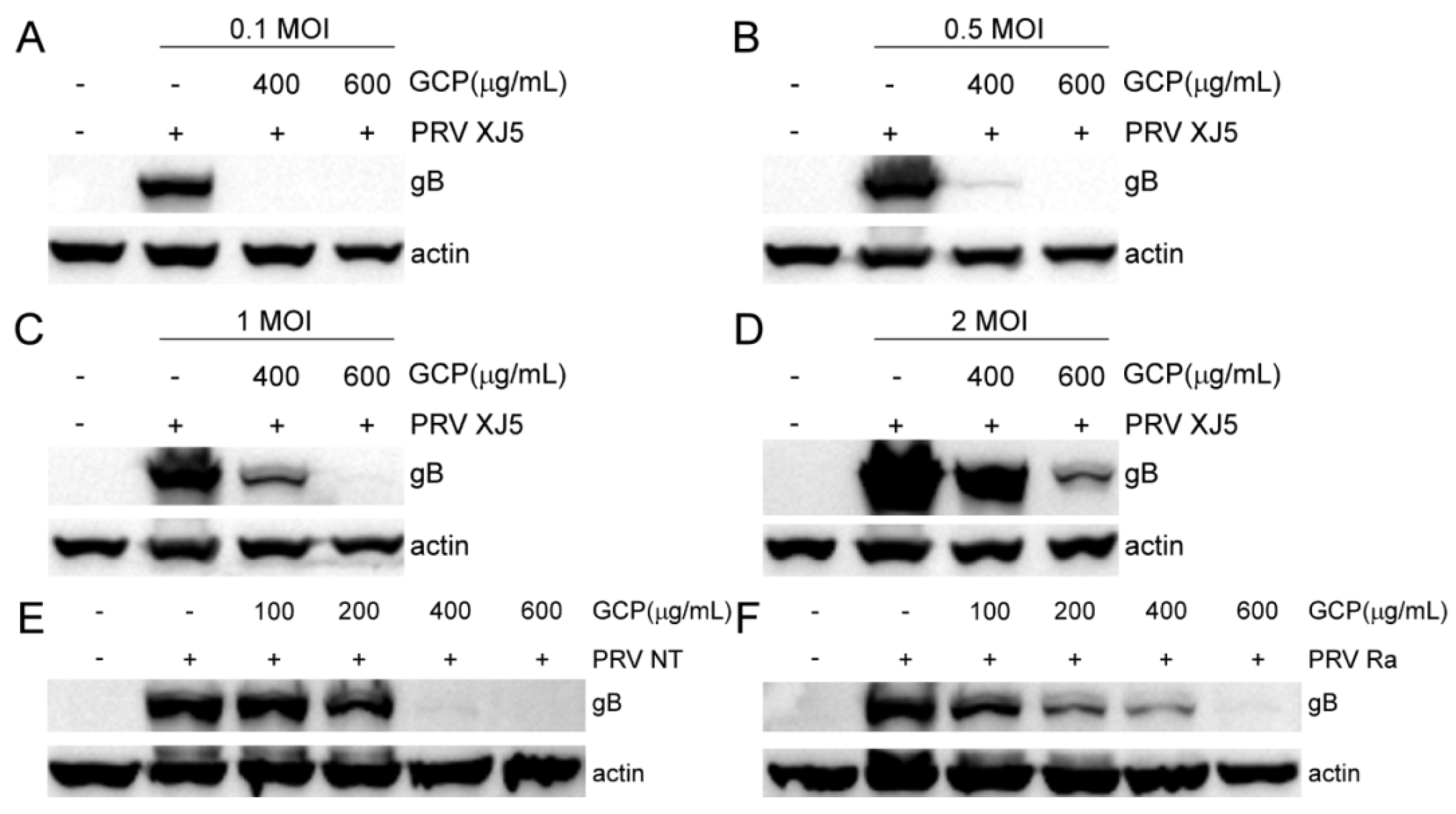Viruses 14 01772 g003 550