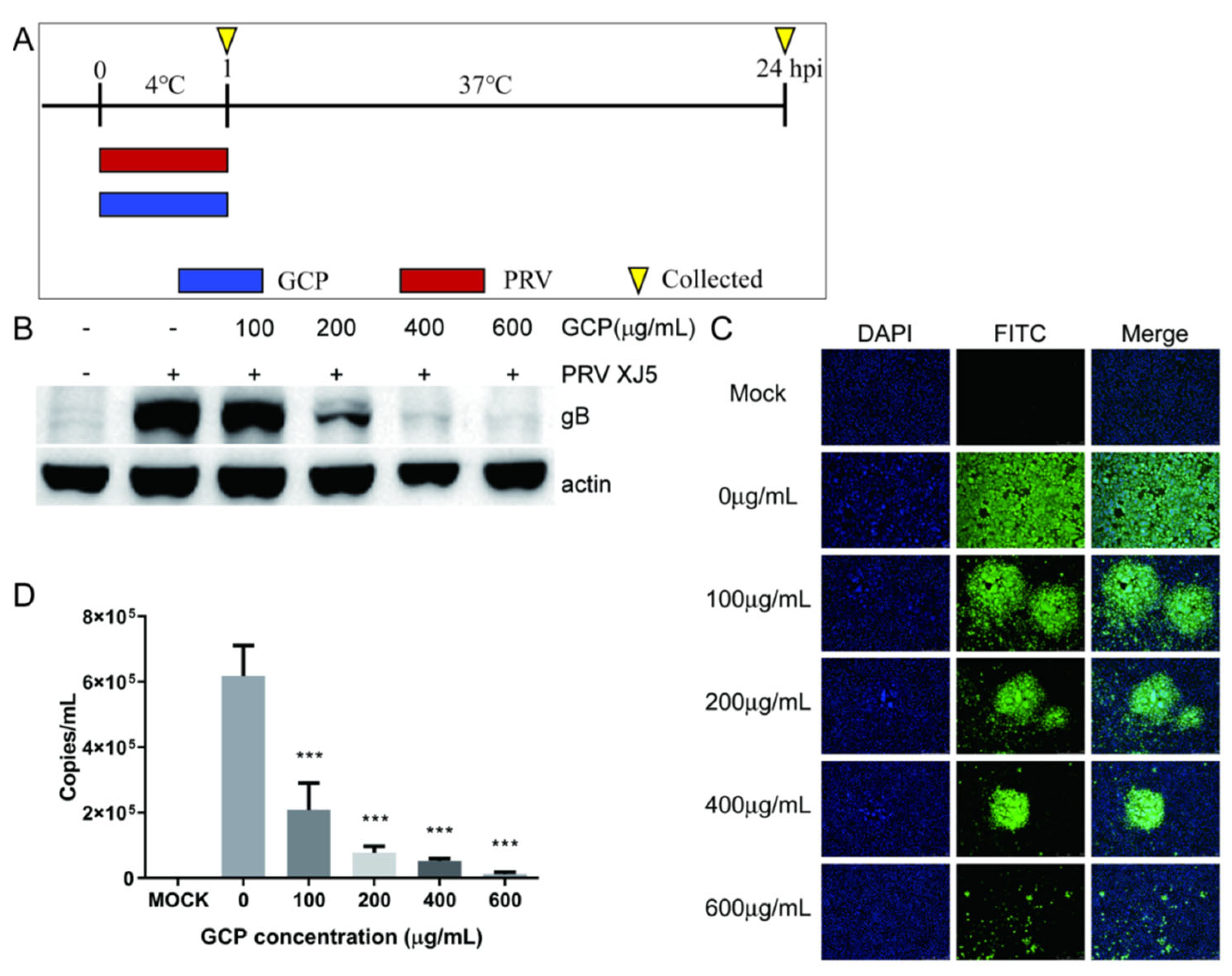 Viruses 14 01772 g005 550