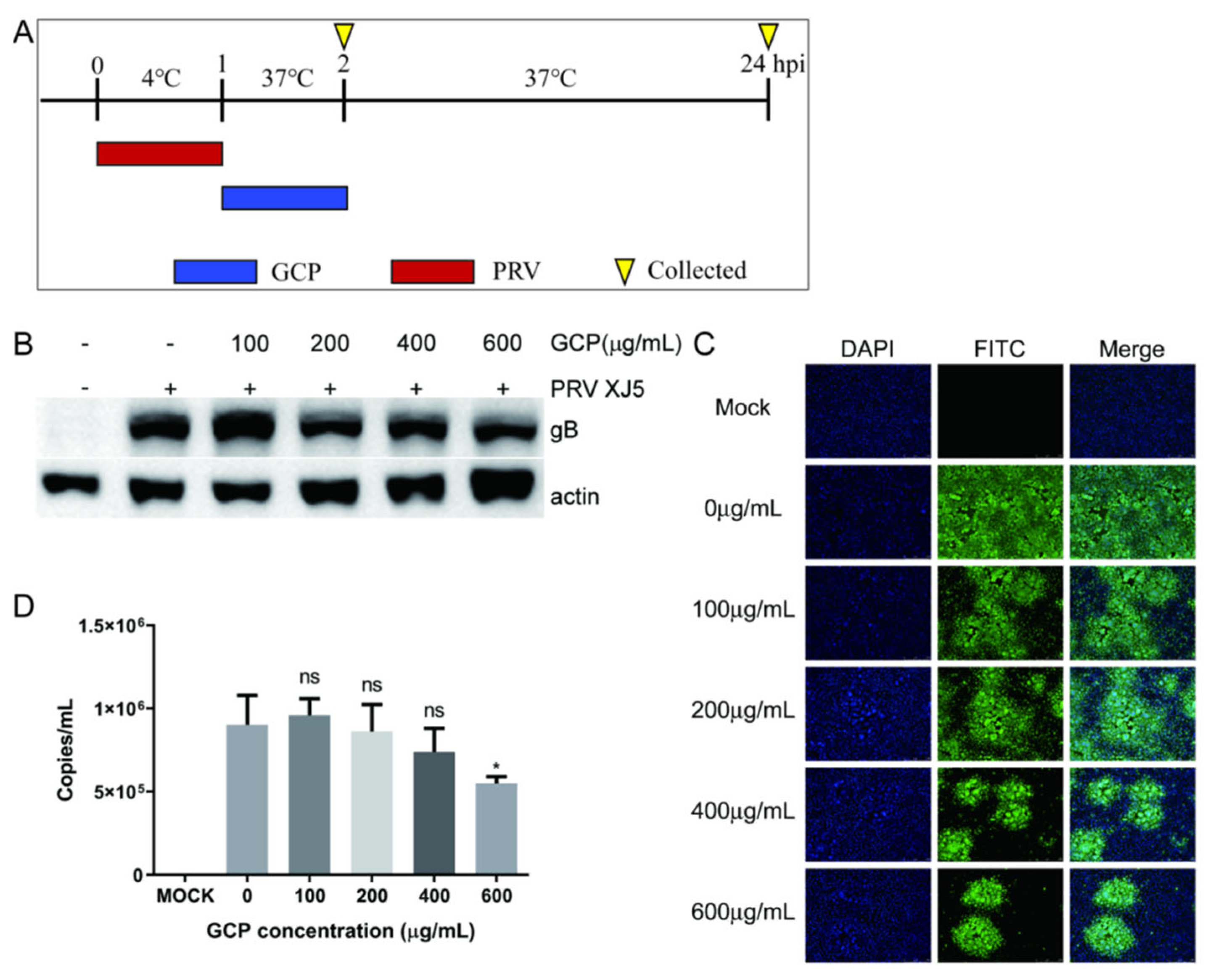 Viruses 14 01772 g006 550