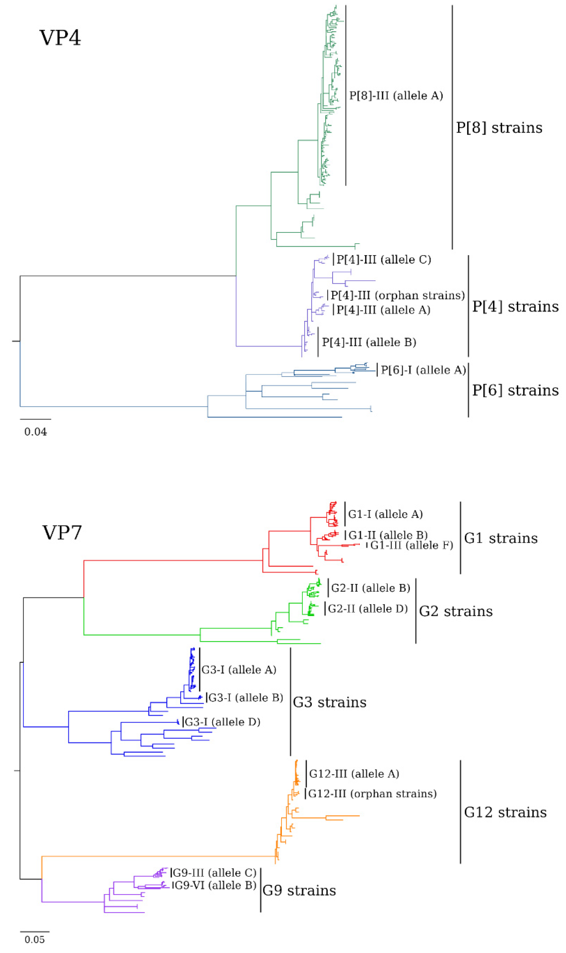 Viruses 14 01775 g001 Viruses 14 01775 g001