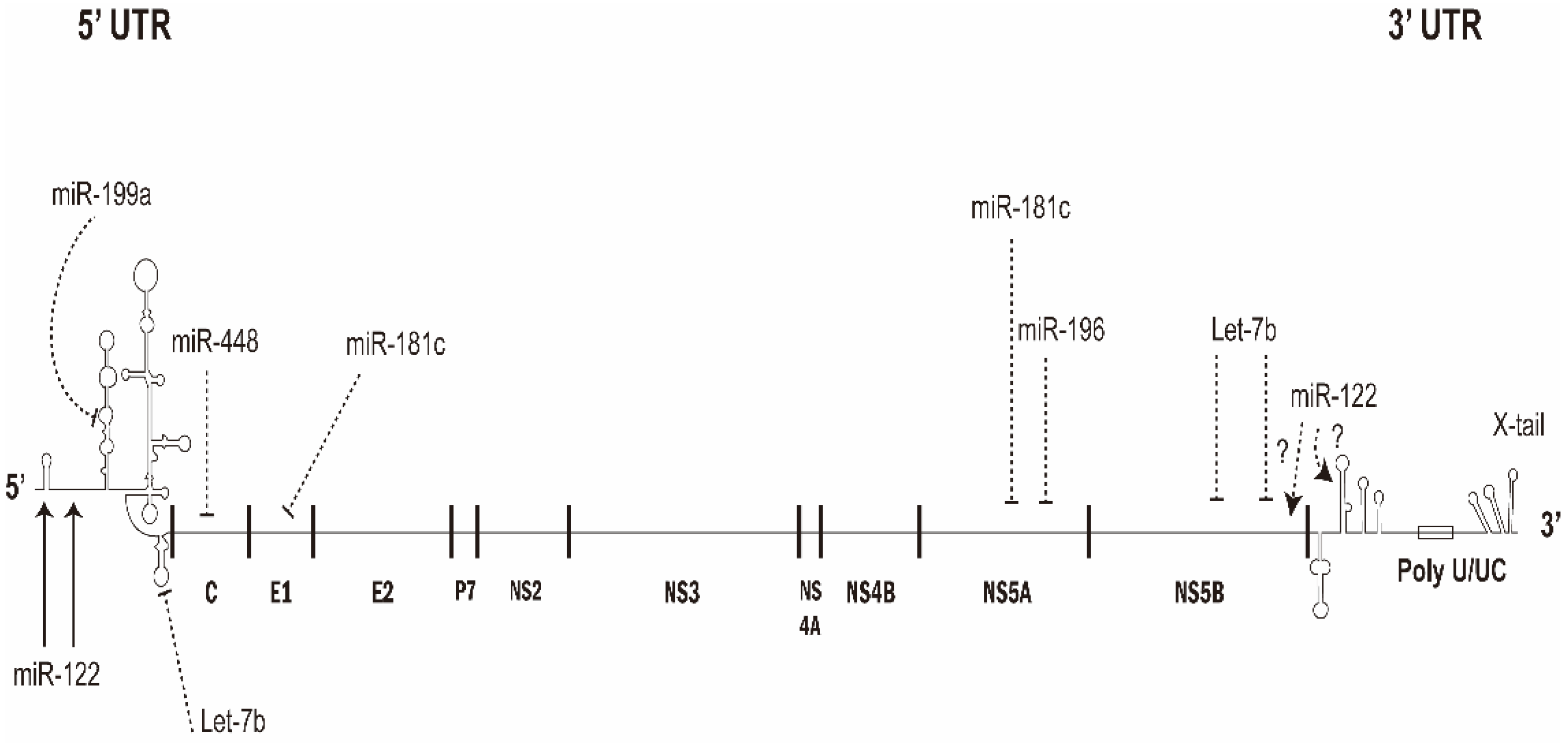 Viruses 14 01776 g002