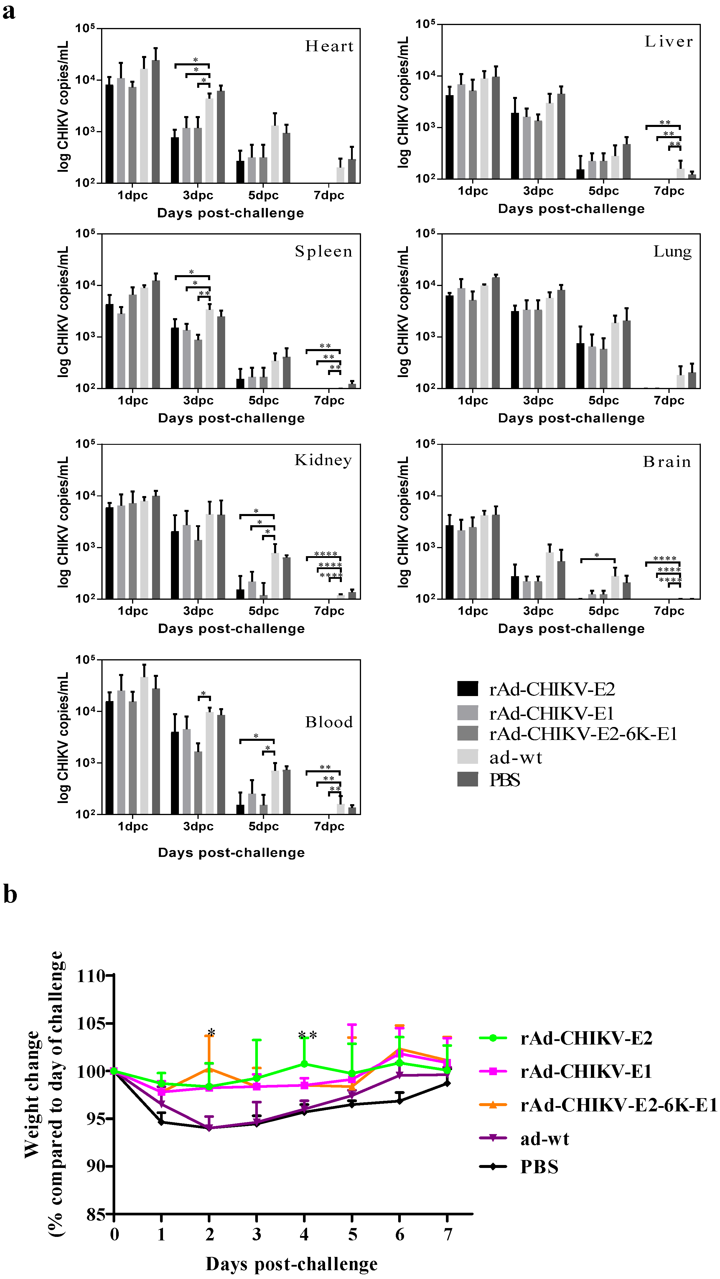 Viruses 14 01779 g004