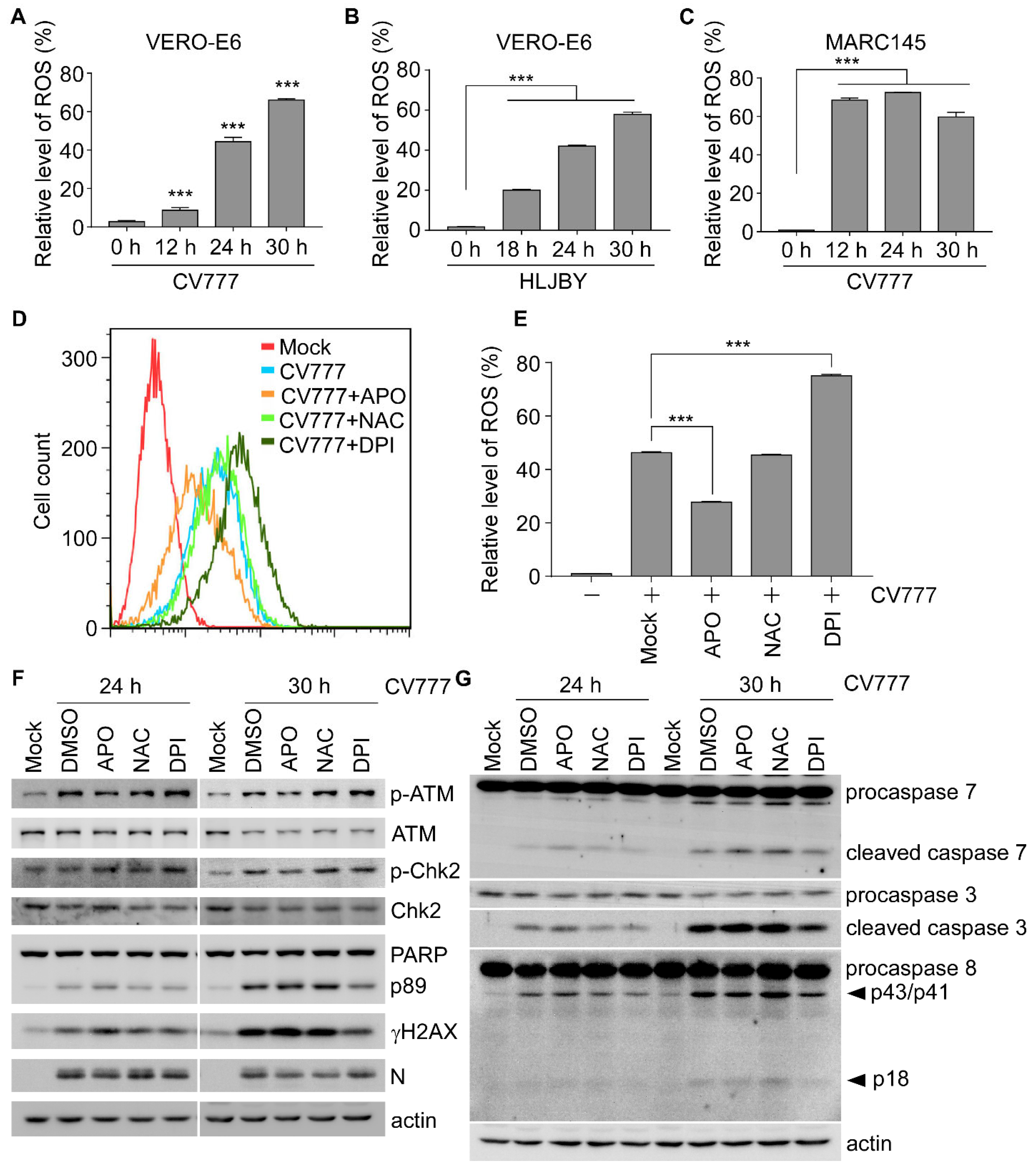 Viruses 14 01782 g003