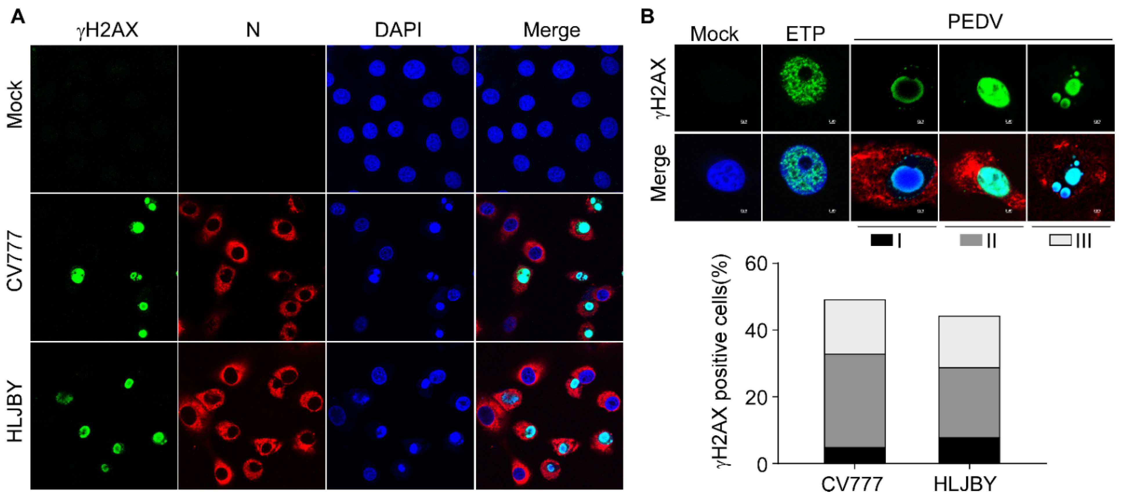Viruses 14 01782 g004