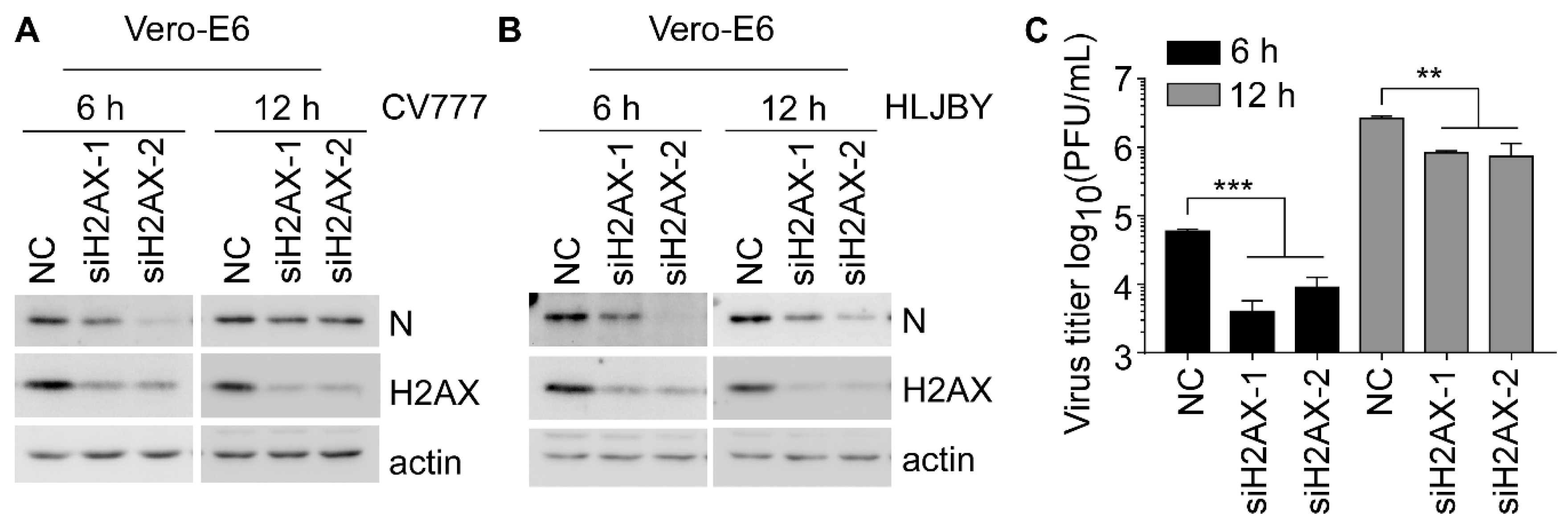 Viruses 14 01782 g007