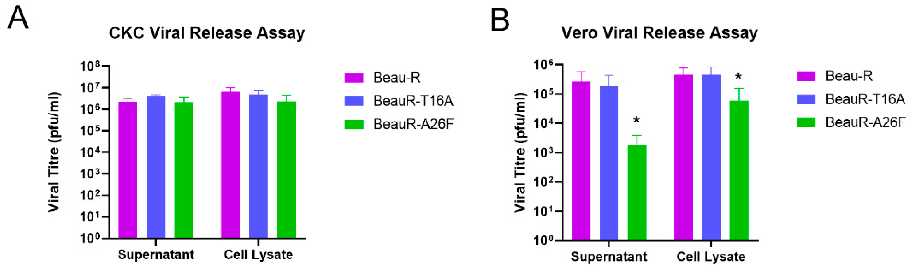 Viruses 14 01784 g004