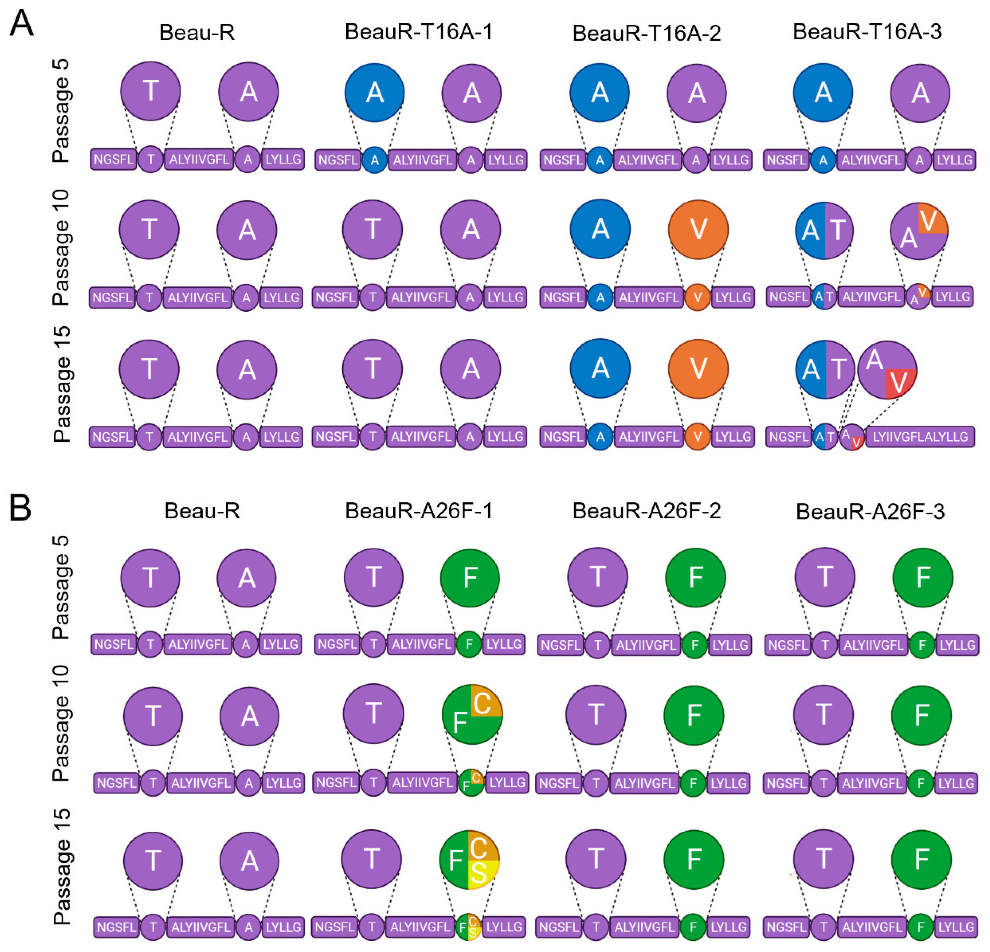 Viruses 14 01784 g006
