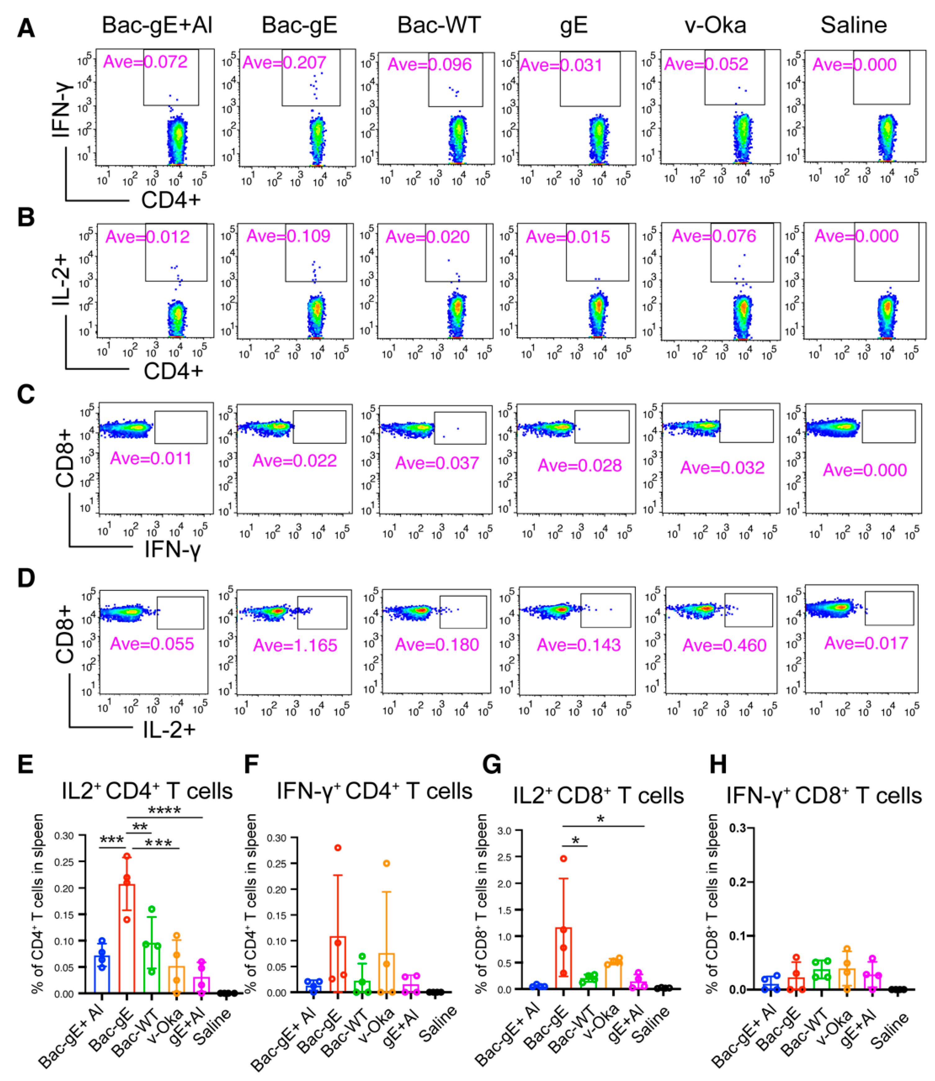 Viruses 14 01785 g005