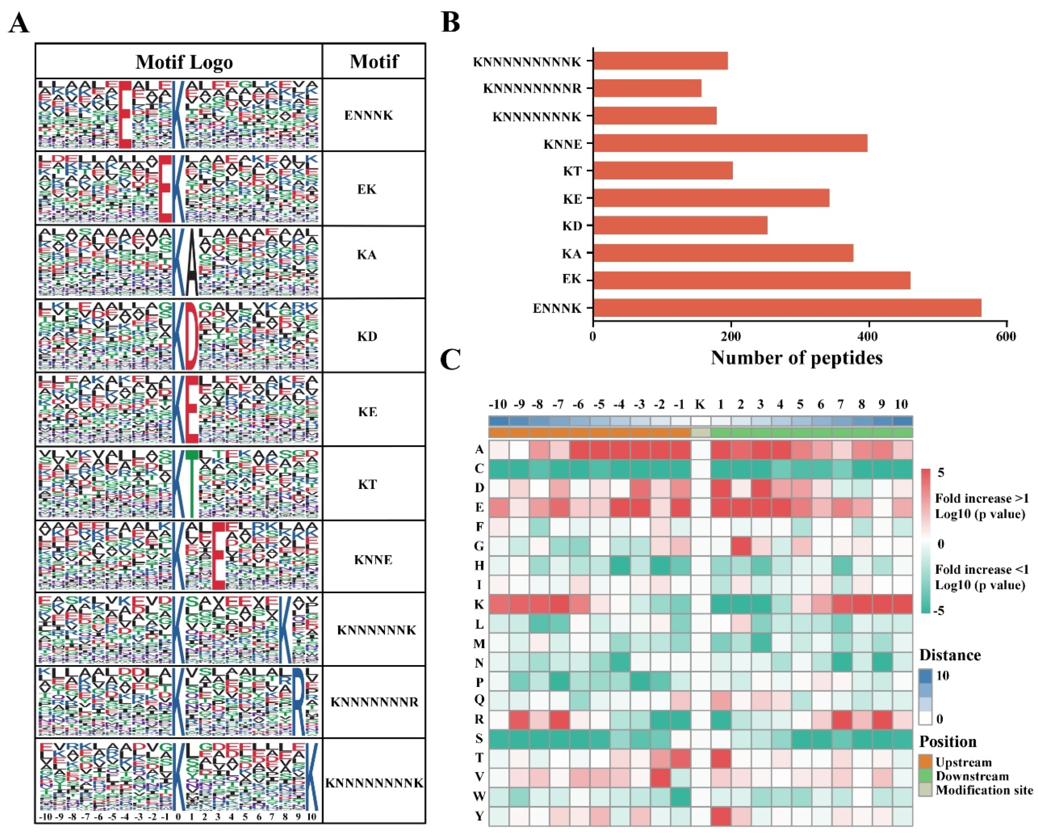 Viruses 14 01789 g003 550