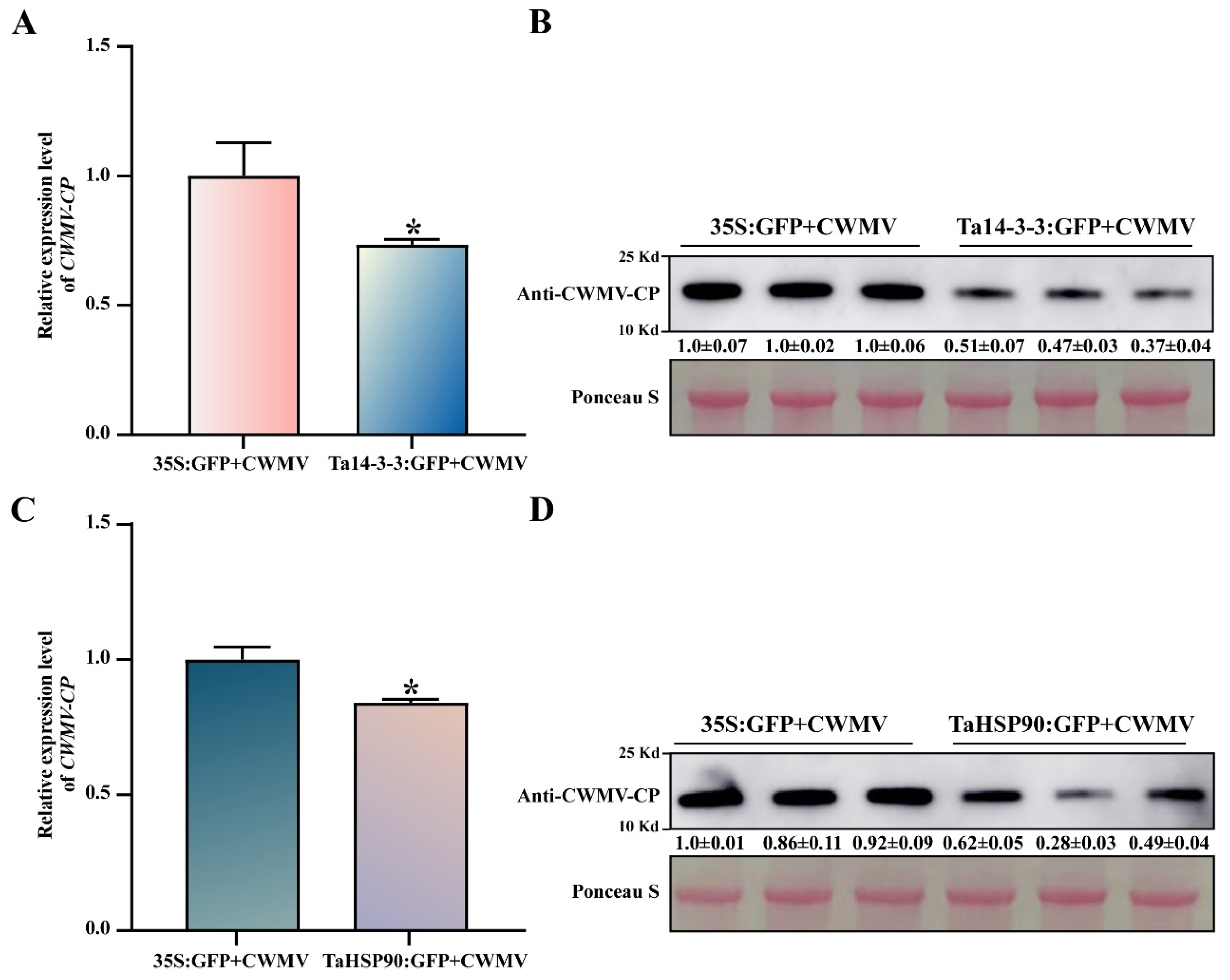 Viruses 14 01789 g007 550