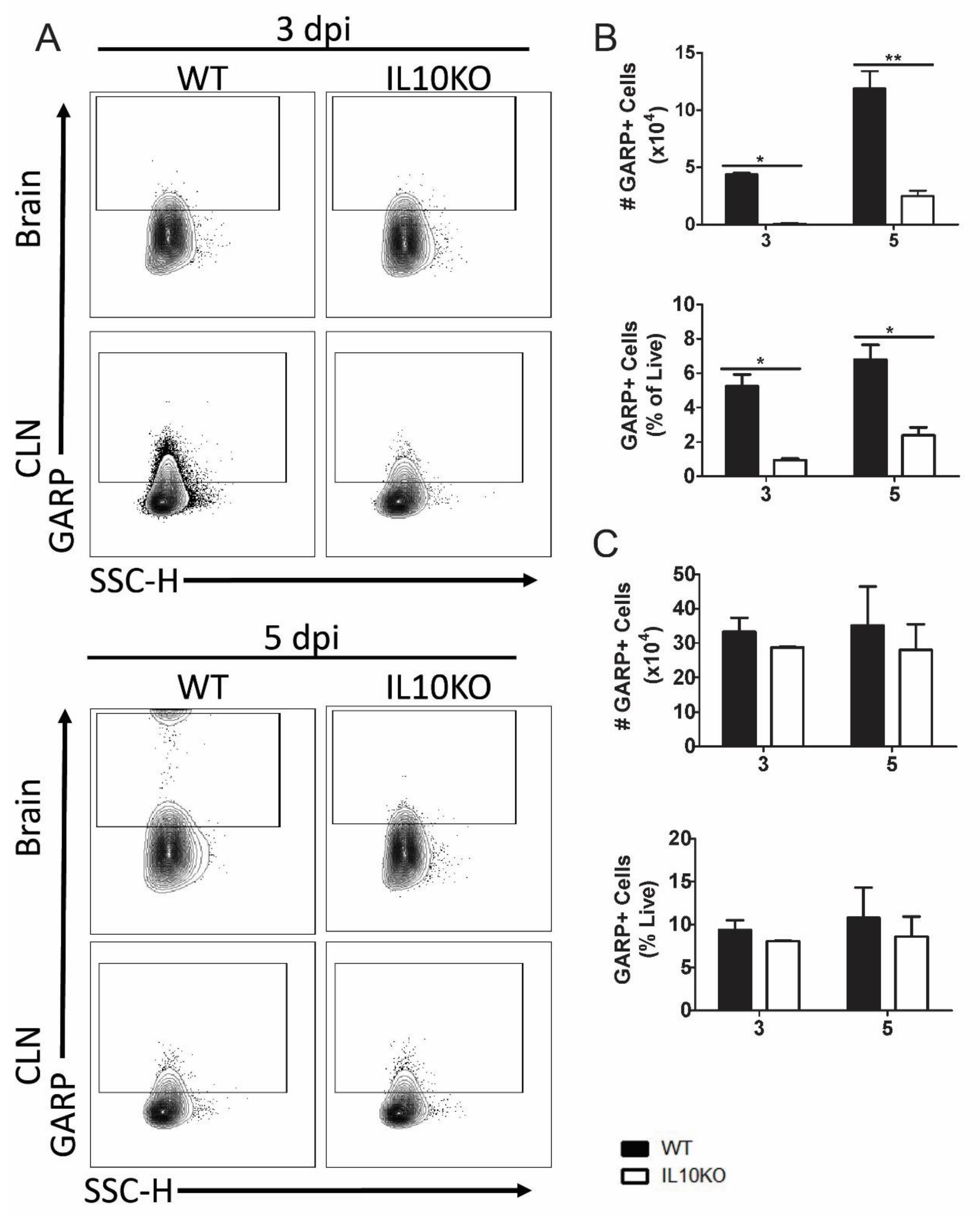 Viruses 14 01791 g005