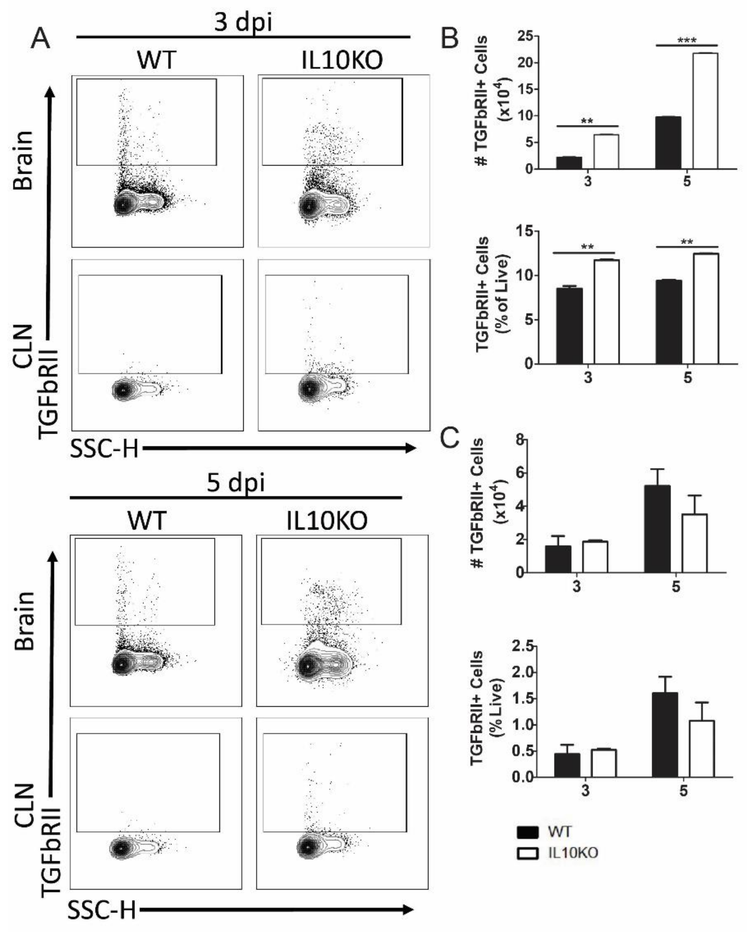 Viruses 14 01791 g006