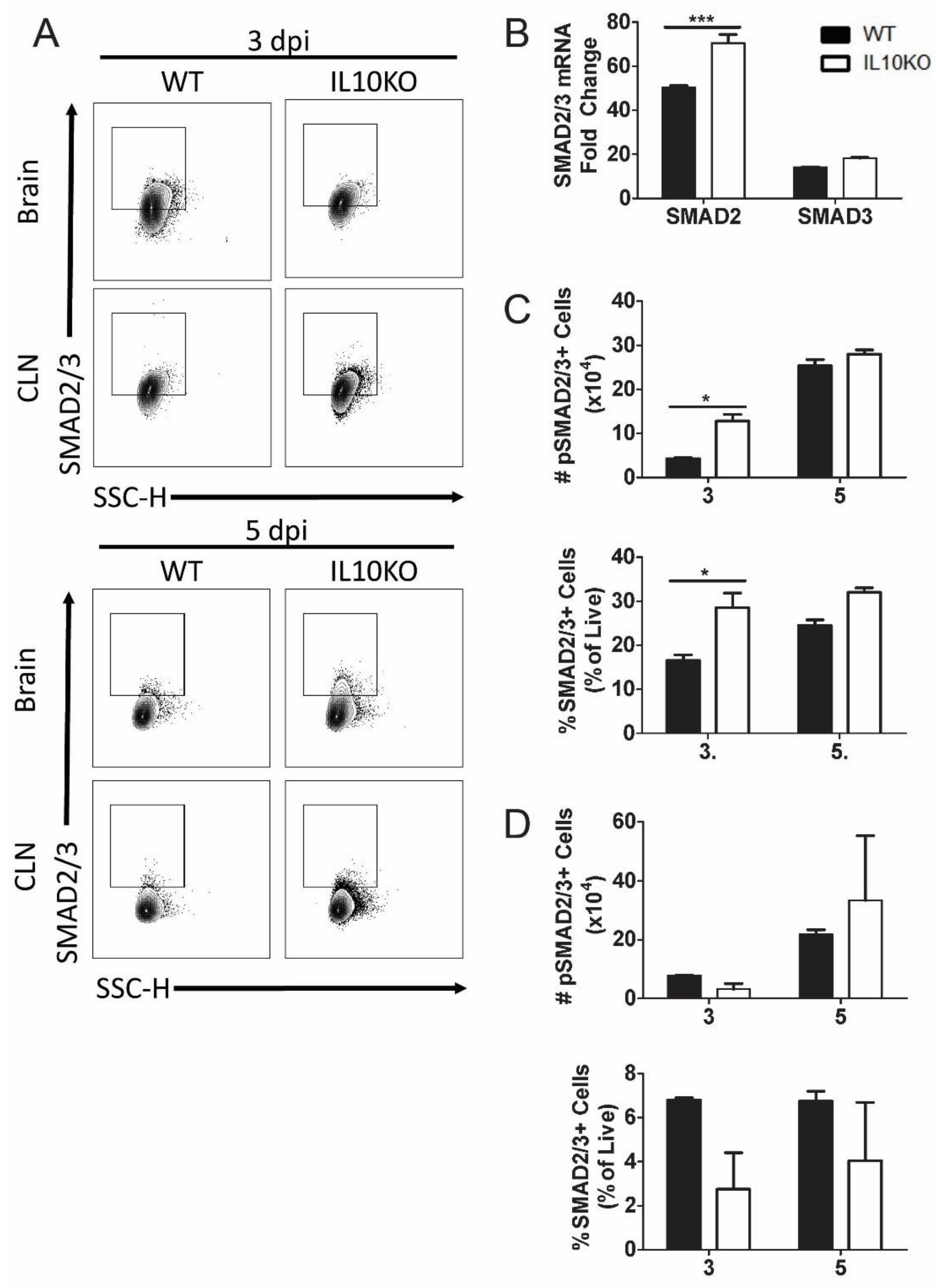 Viruses 14 01791 g007