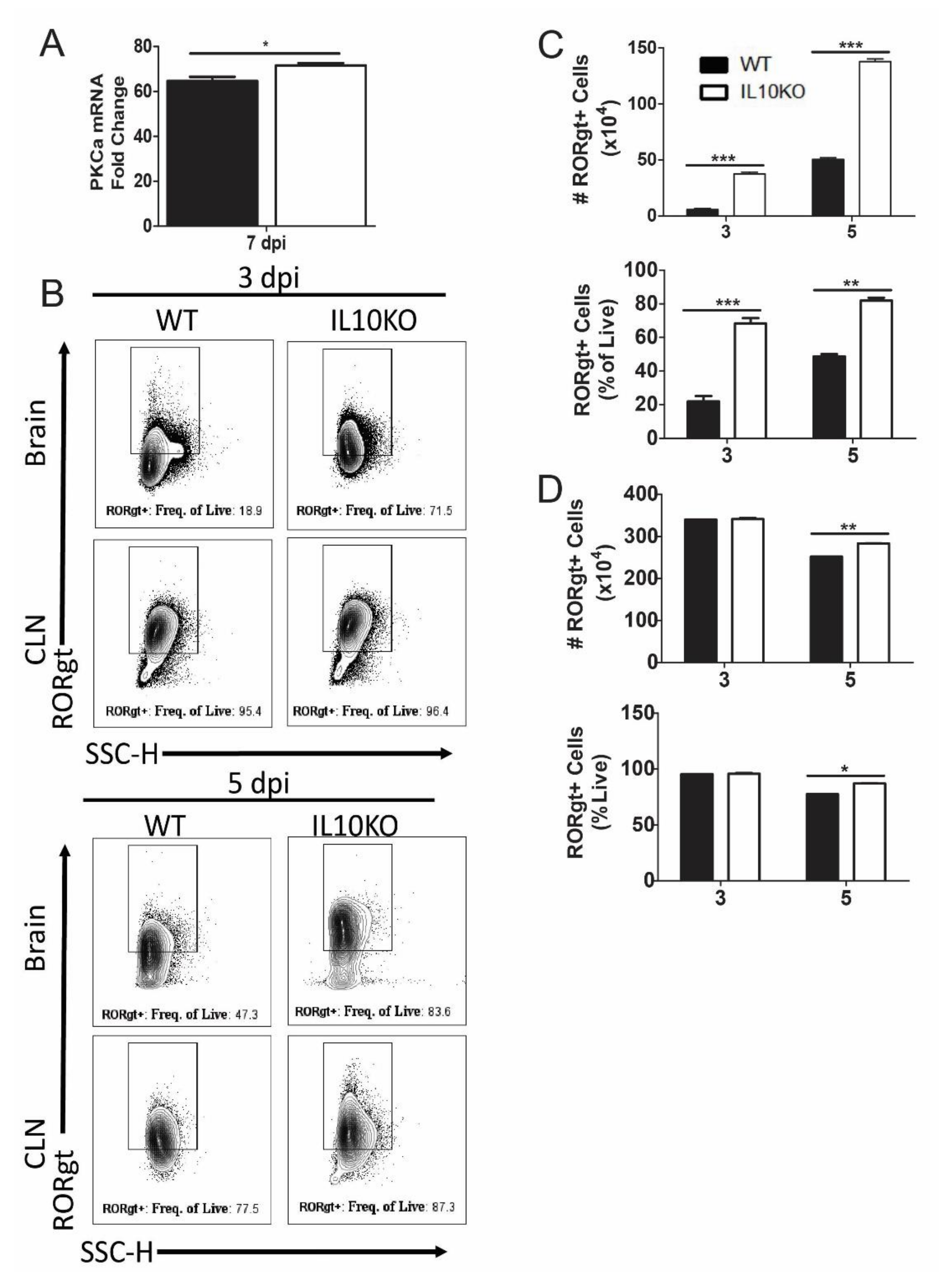 Viruses 14 01791 g008