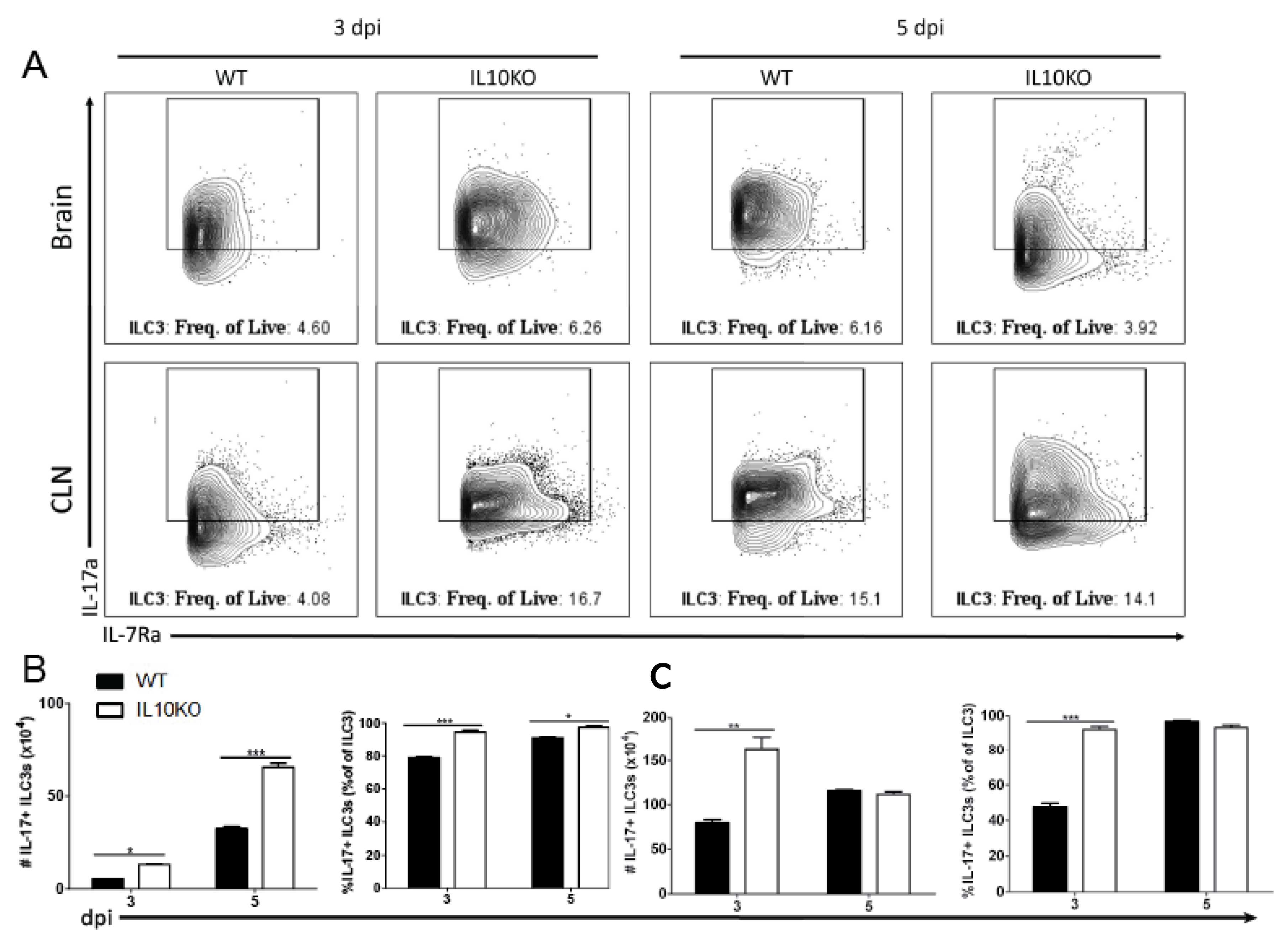 Viruses 14 01791 g009