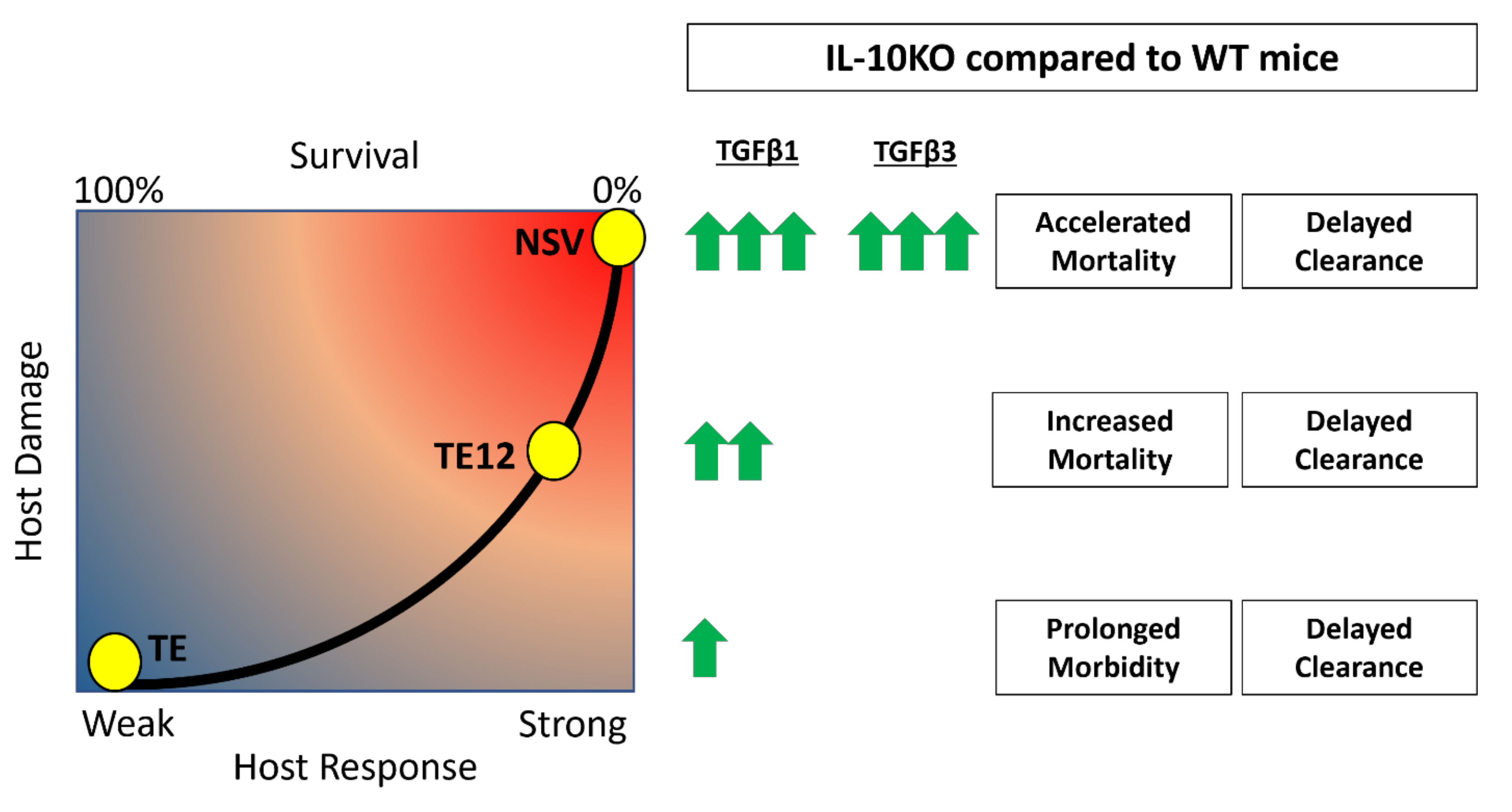 Viruses 14 01791 g010