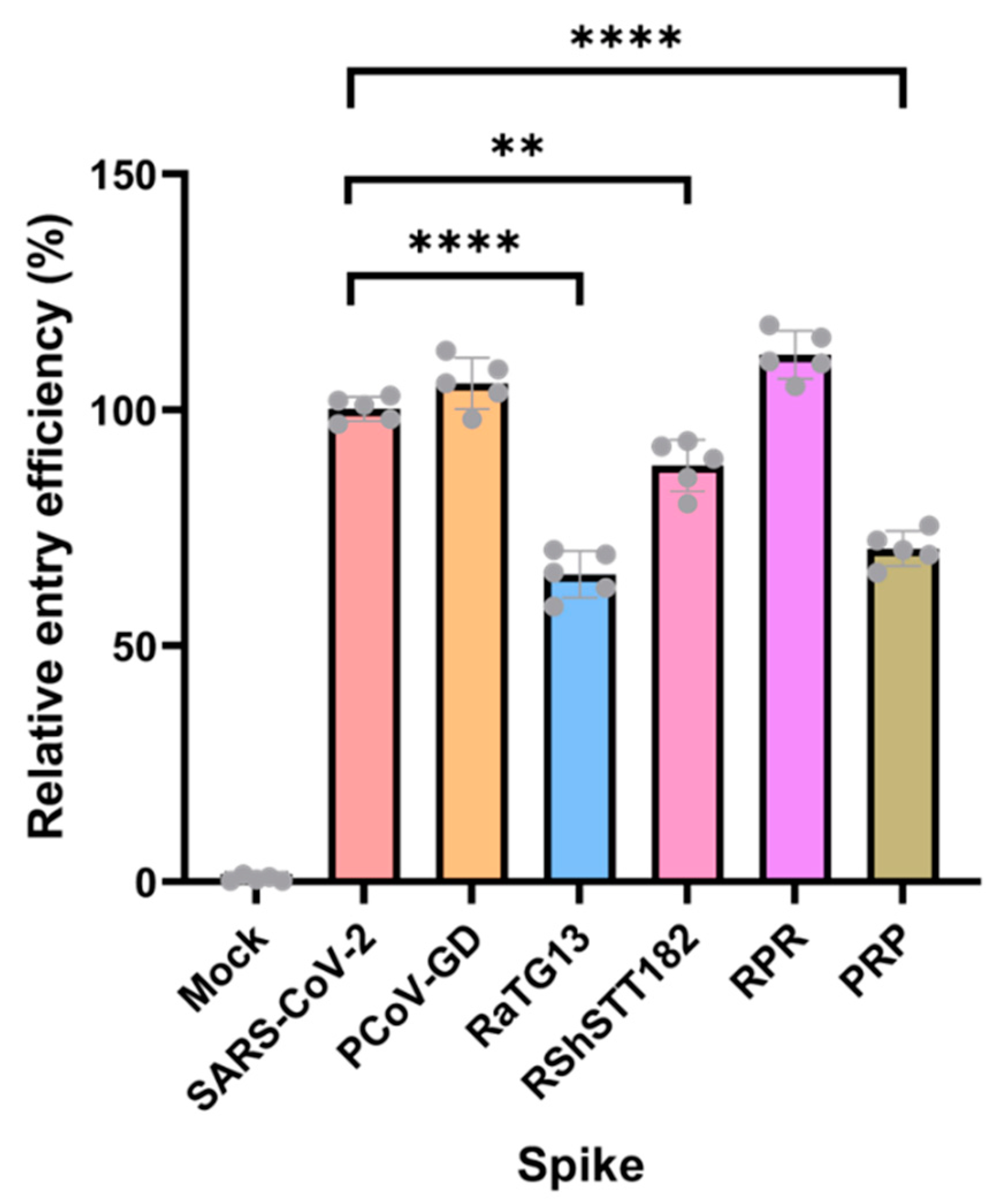 Viruses 14 01793 g004