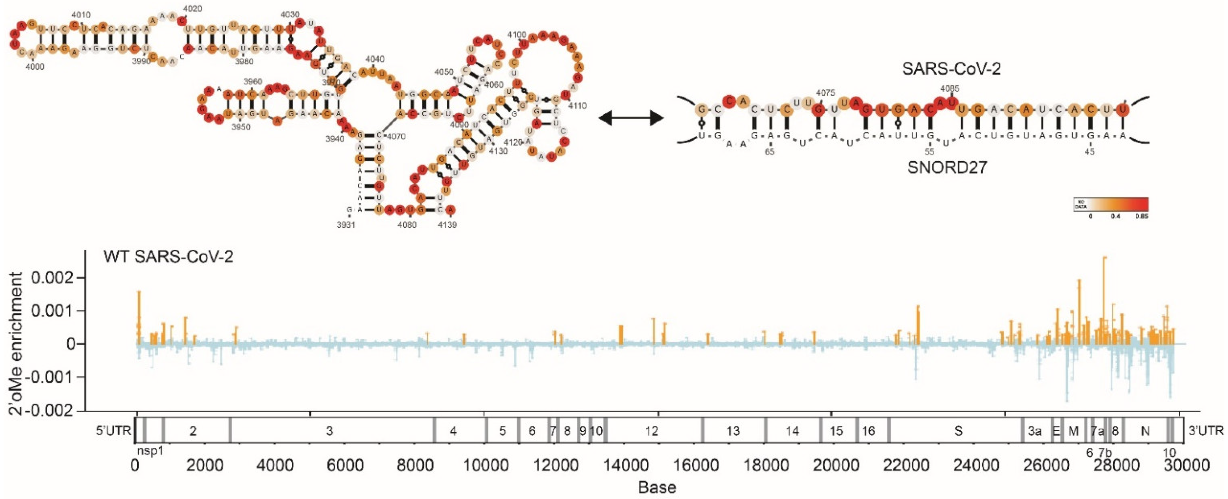 Viruses 14 01795 g002