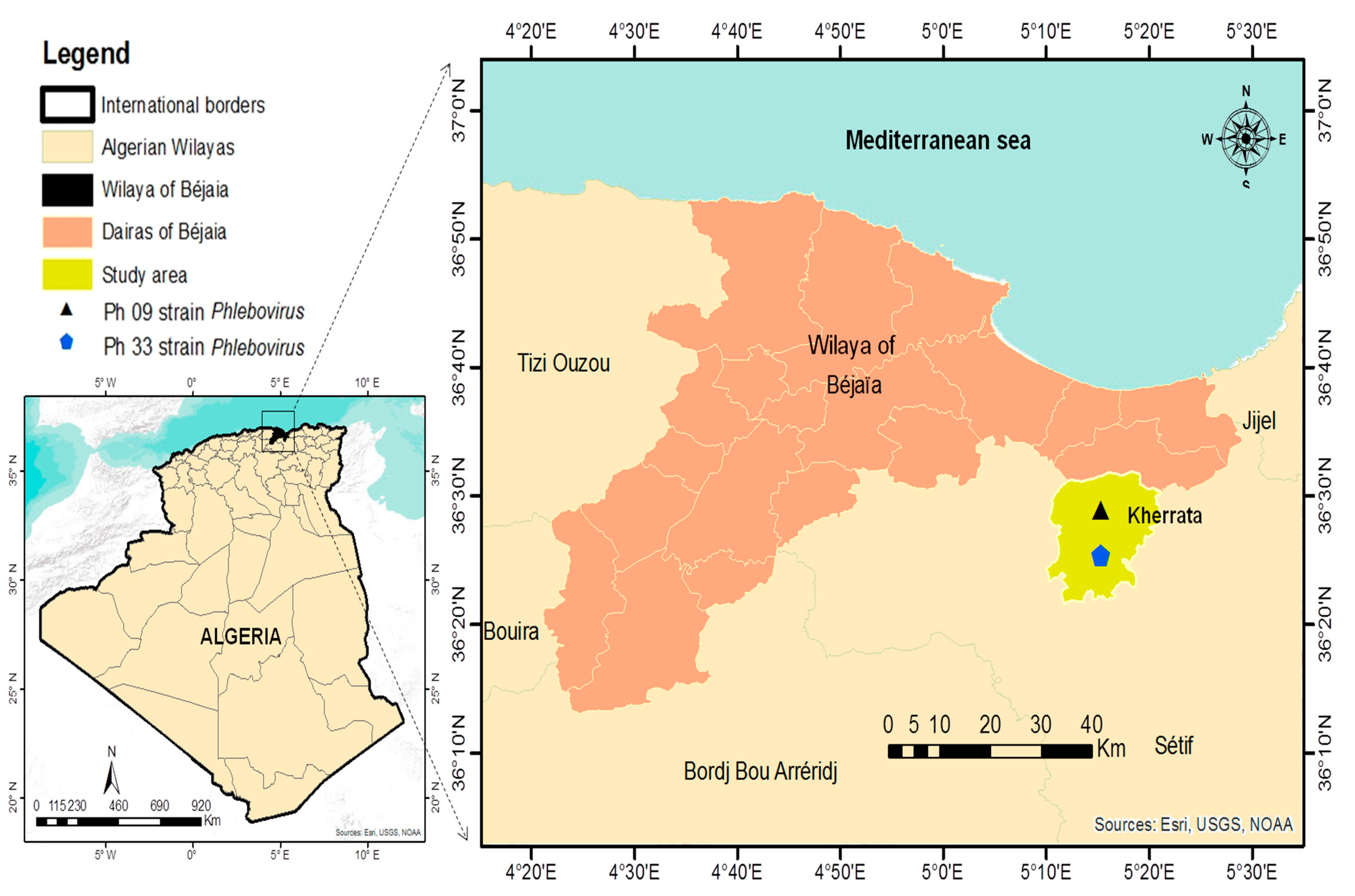 Viruses 14 01796 g001 550