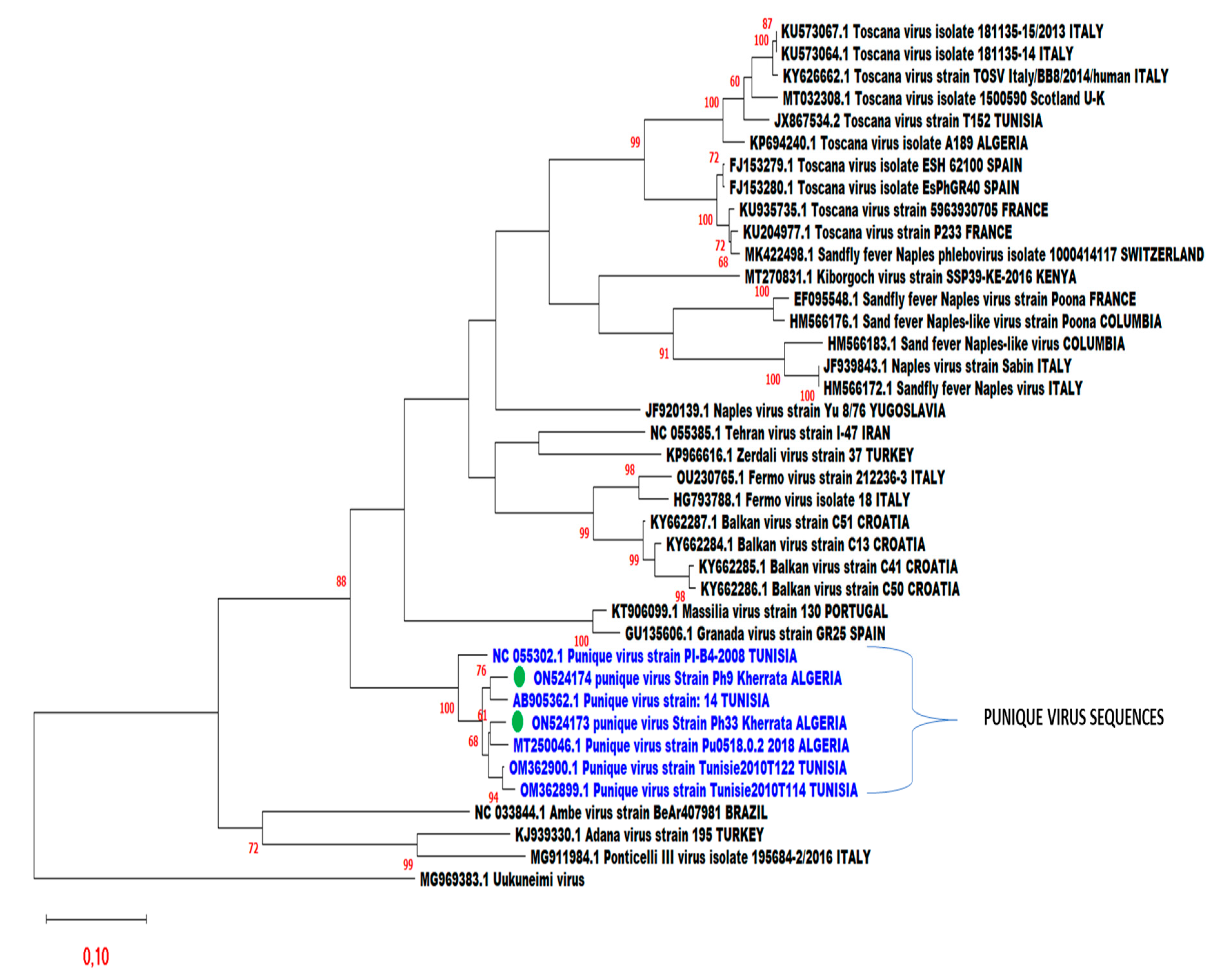 Viruses 14 01796 g002 550