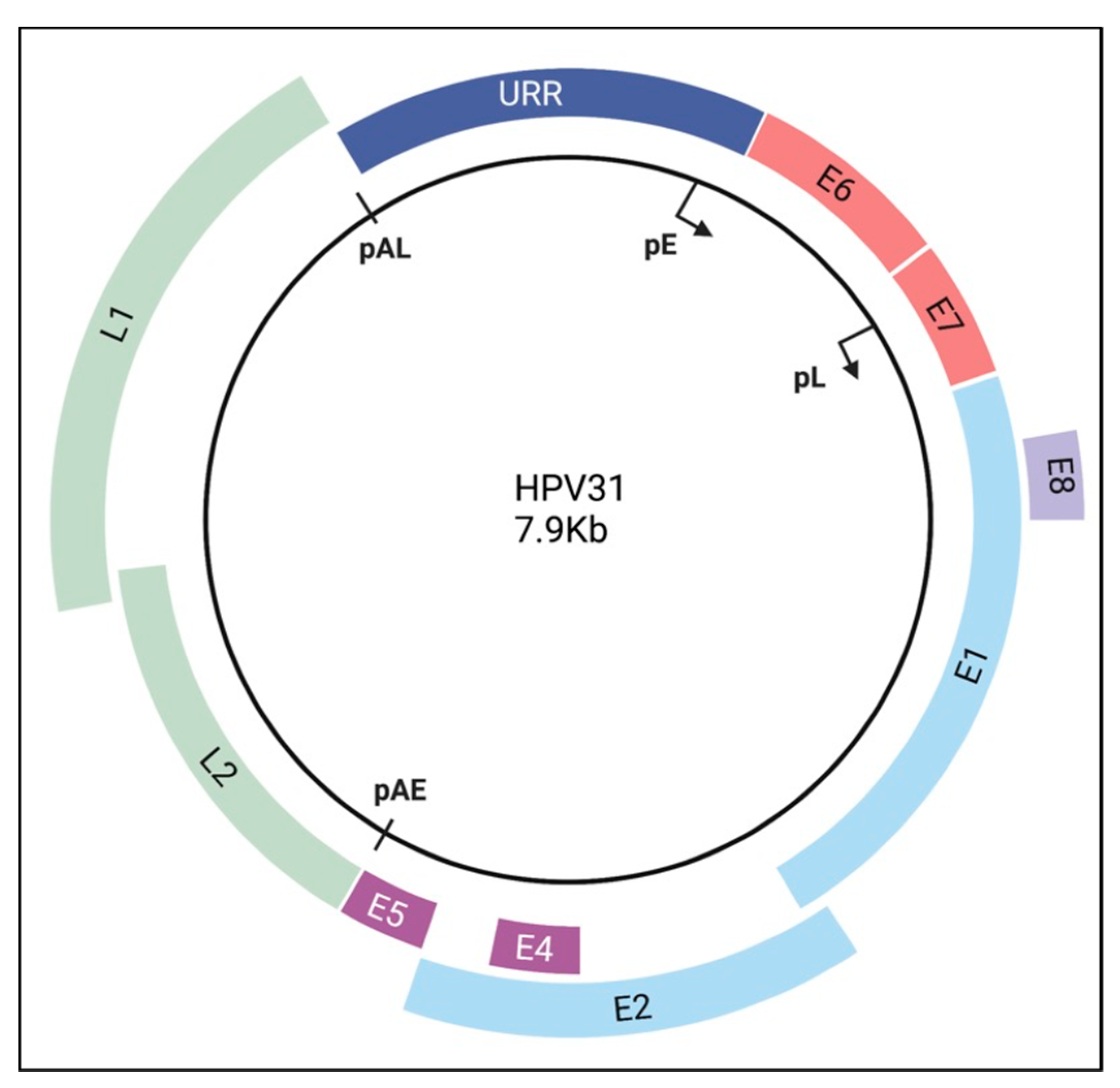 Viruses 14 01797 g001