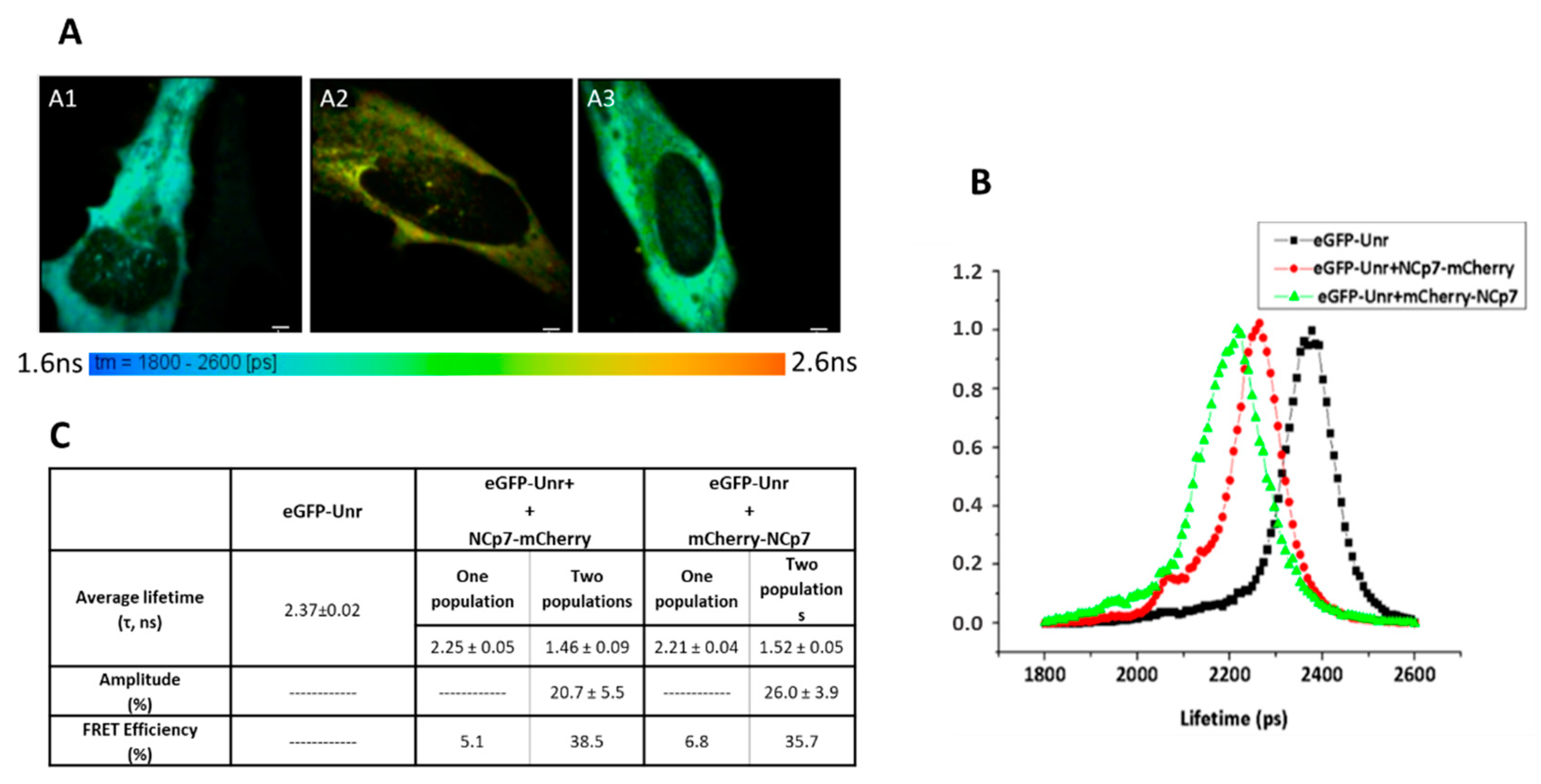 Viruses 14 01798 g006 Viruses 14 01798 g006