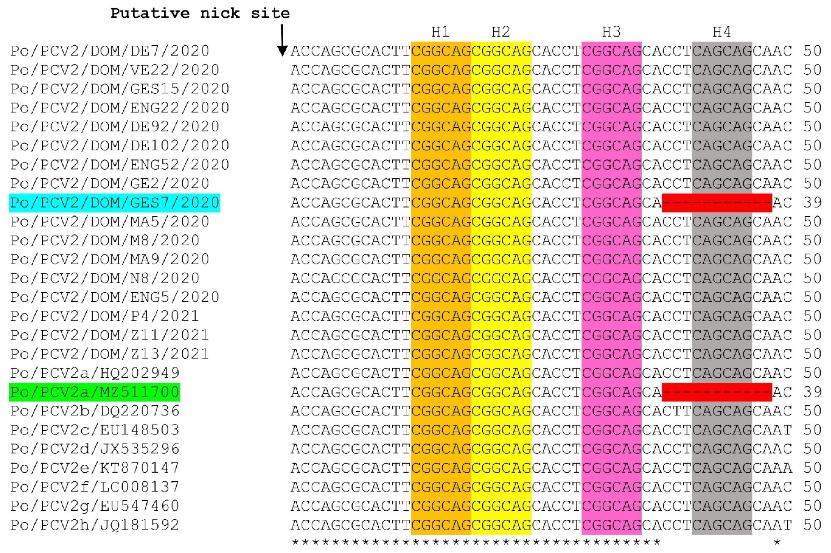 Viruses 14 01799 g001