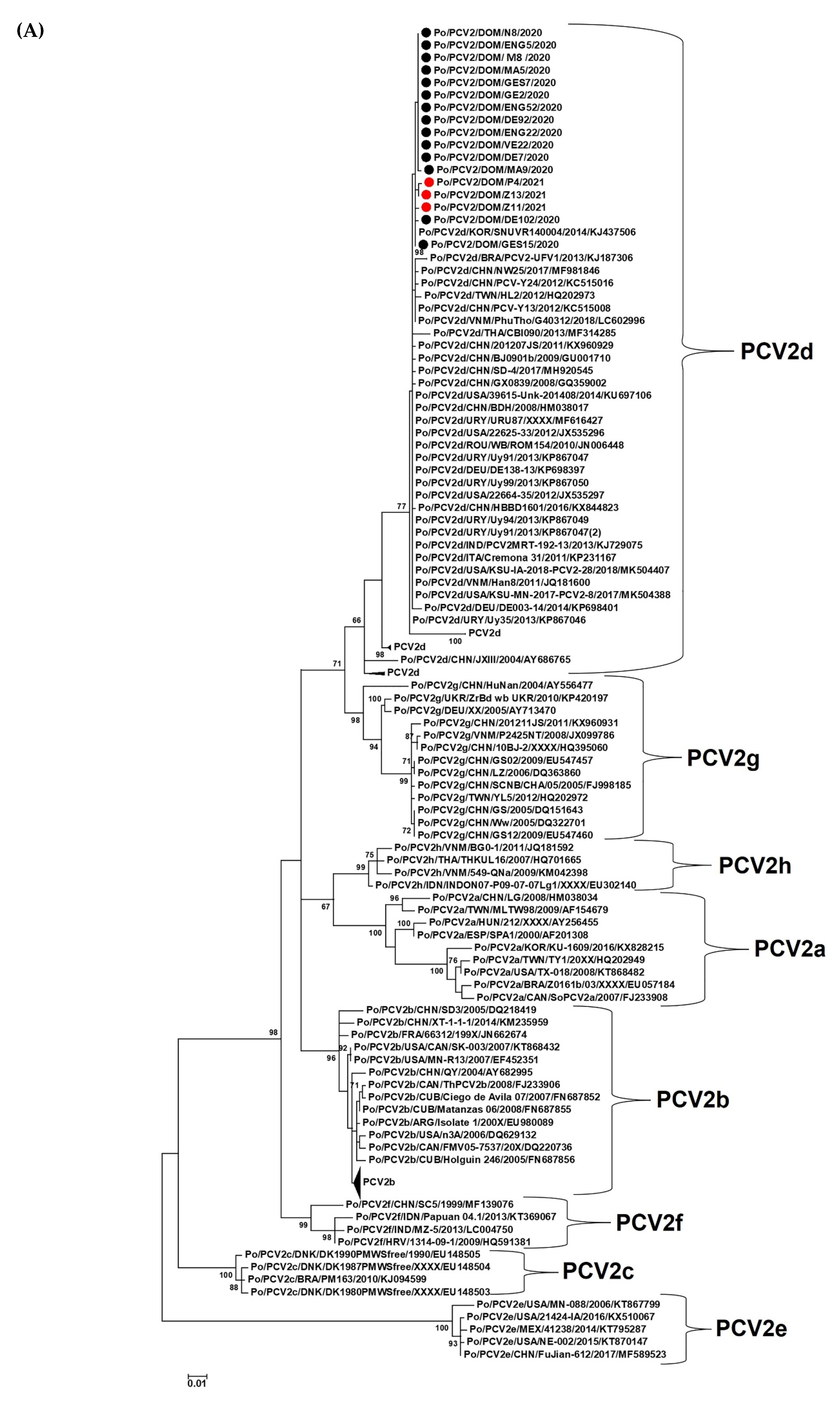 Viruses 14 01799 g002a