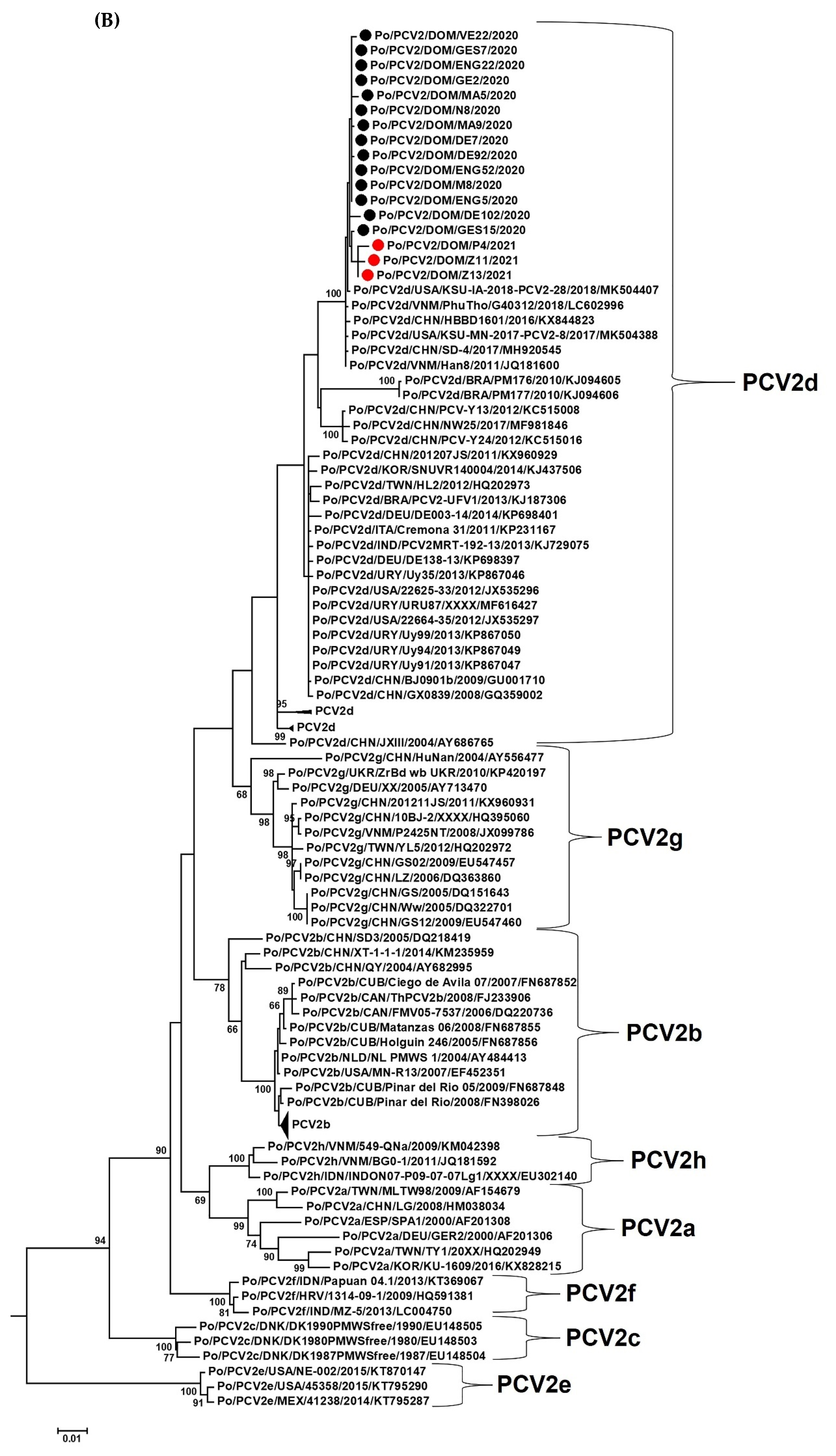 Viruses 14 01799 g002b