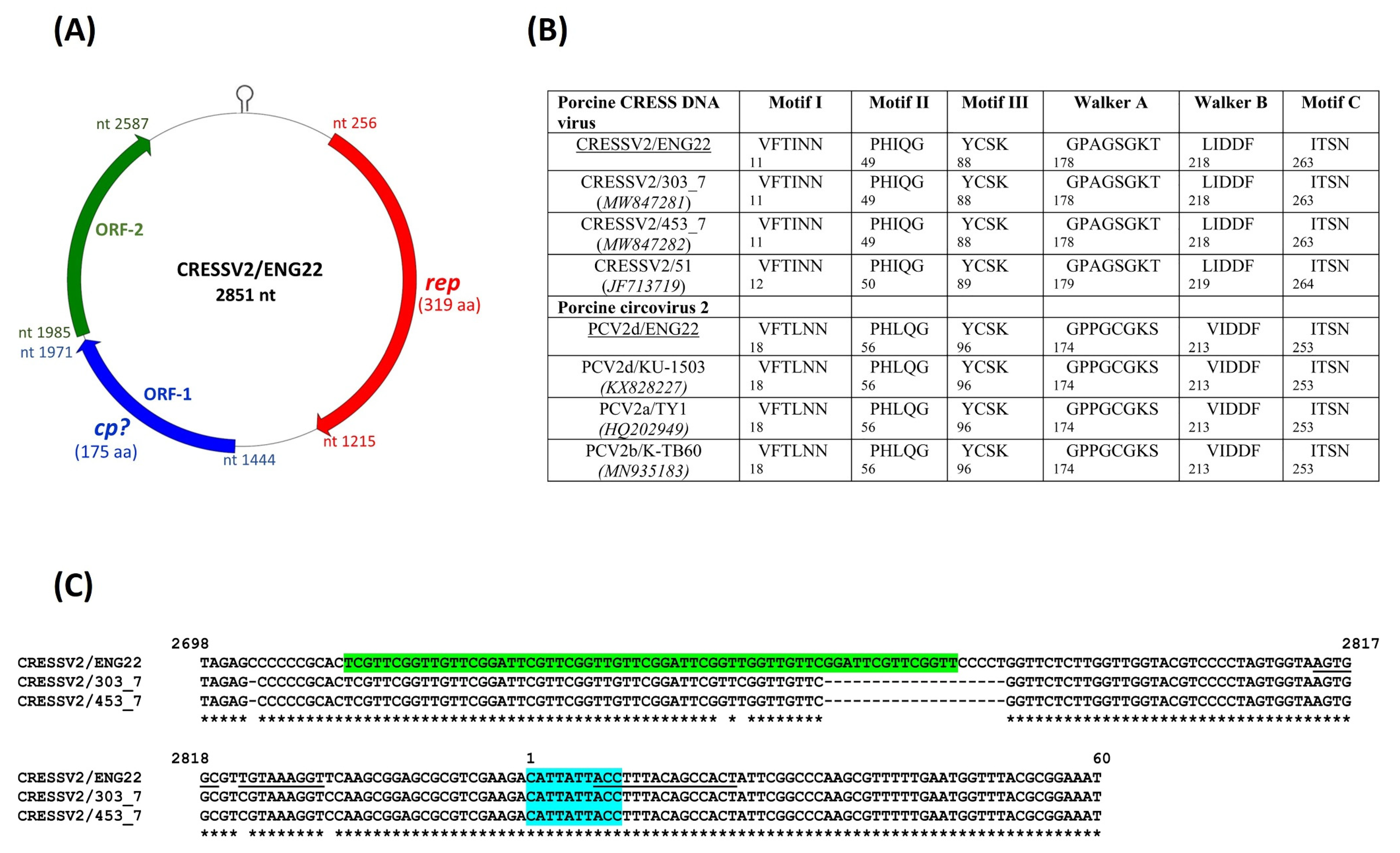 Viruses 14 01799 g003