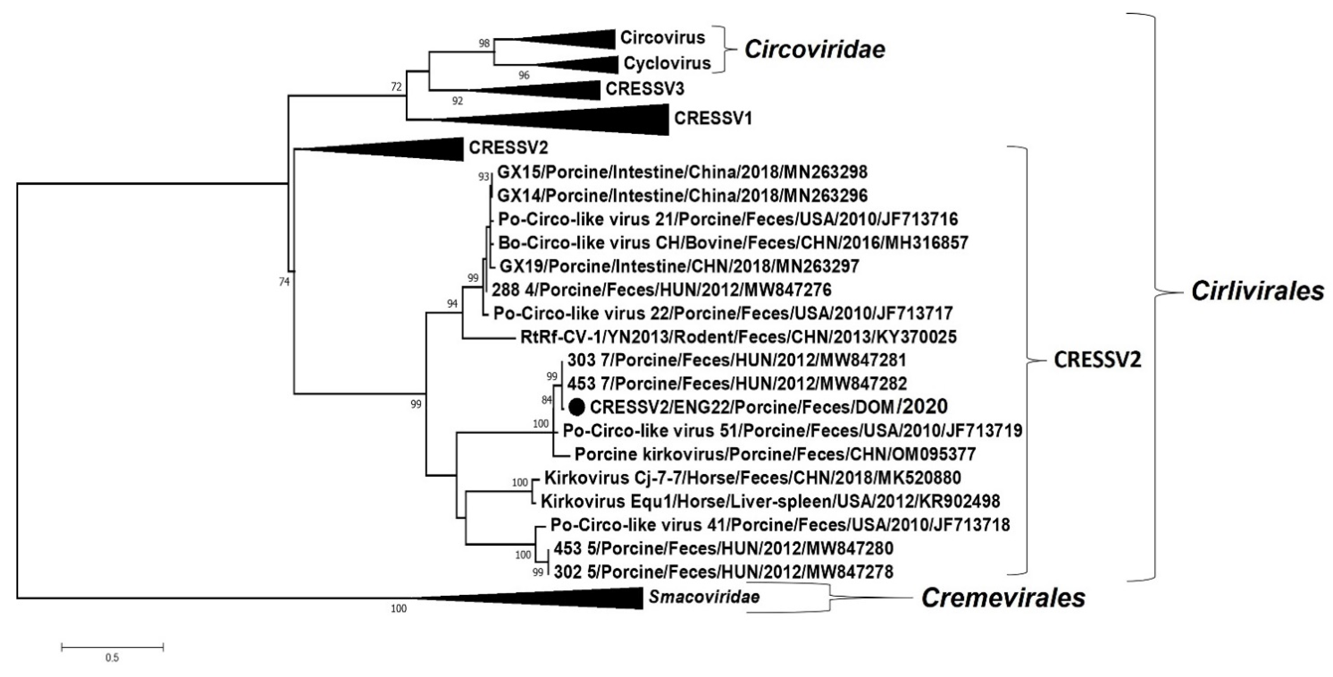 Viruses 14 01799 g004