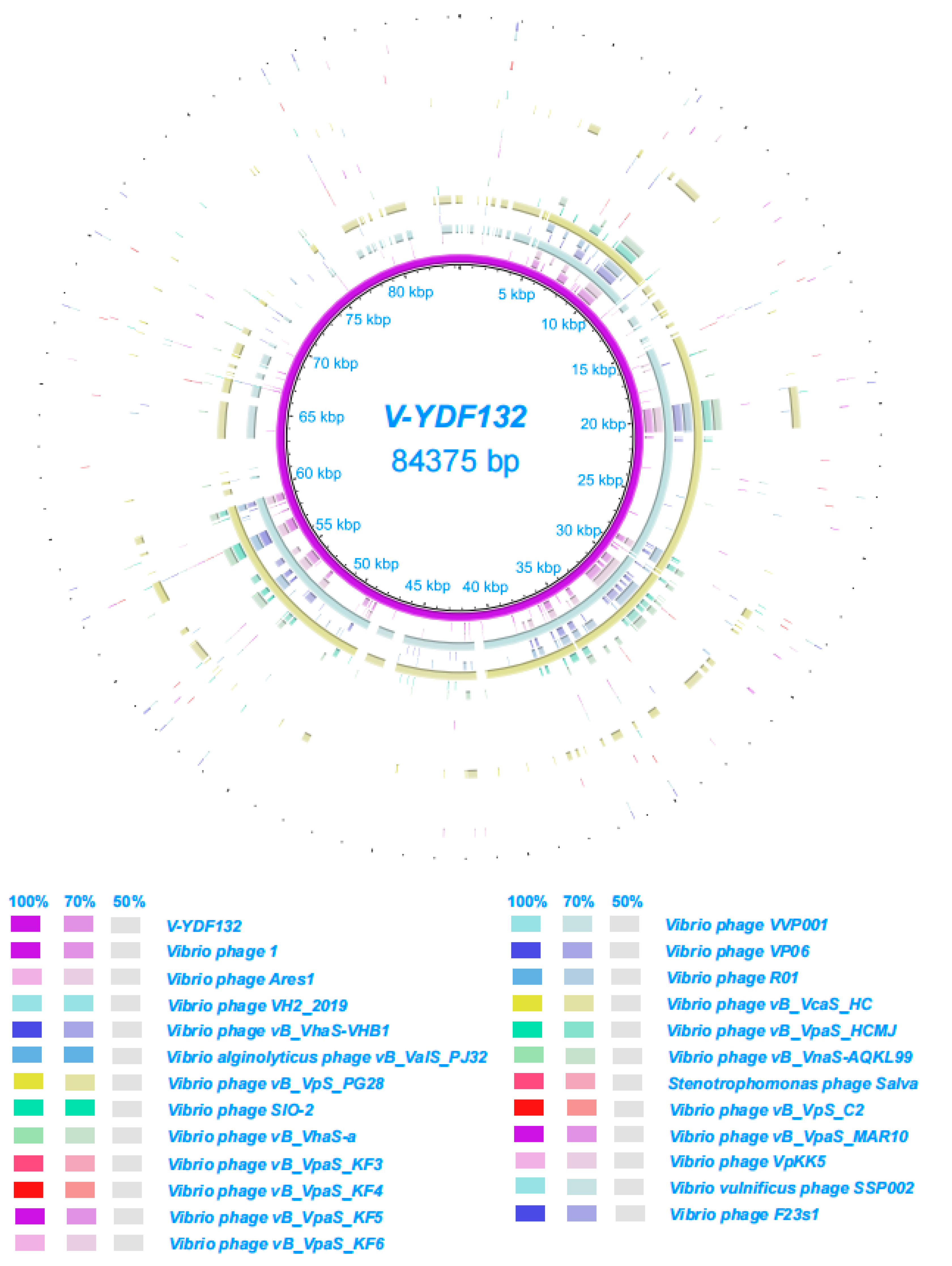Viruses 14 01802 g007