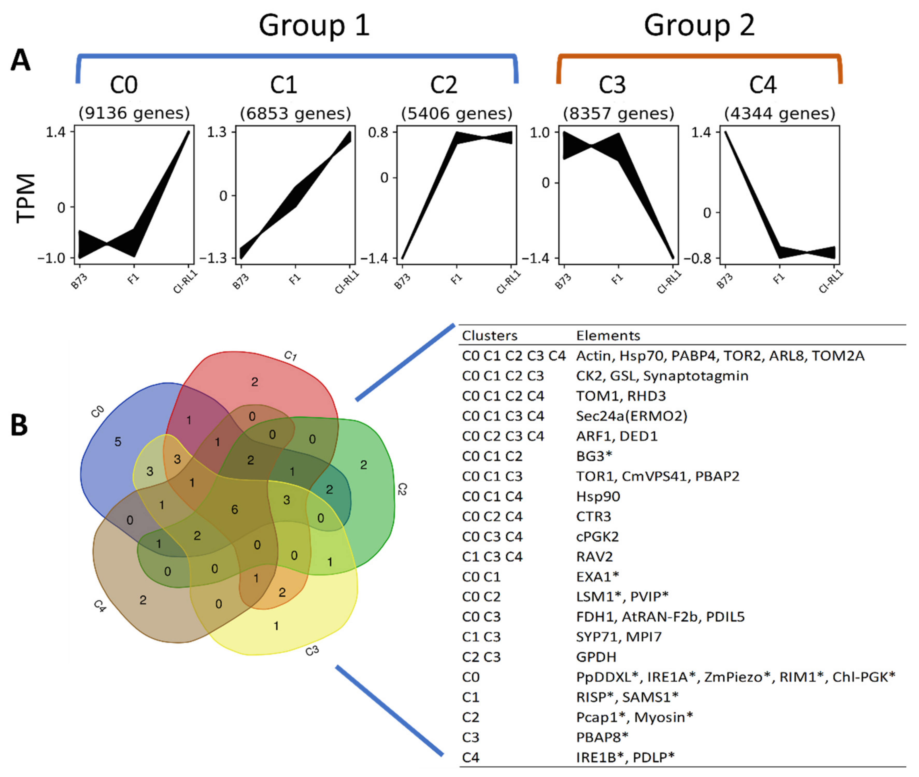 Viruses 14 01803 g002 550