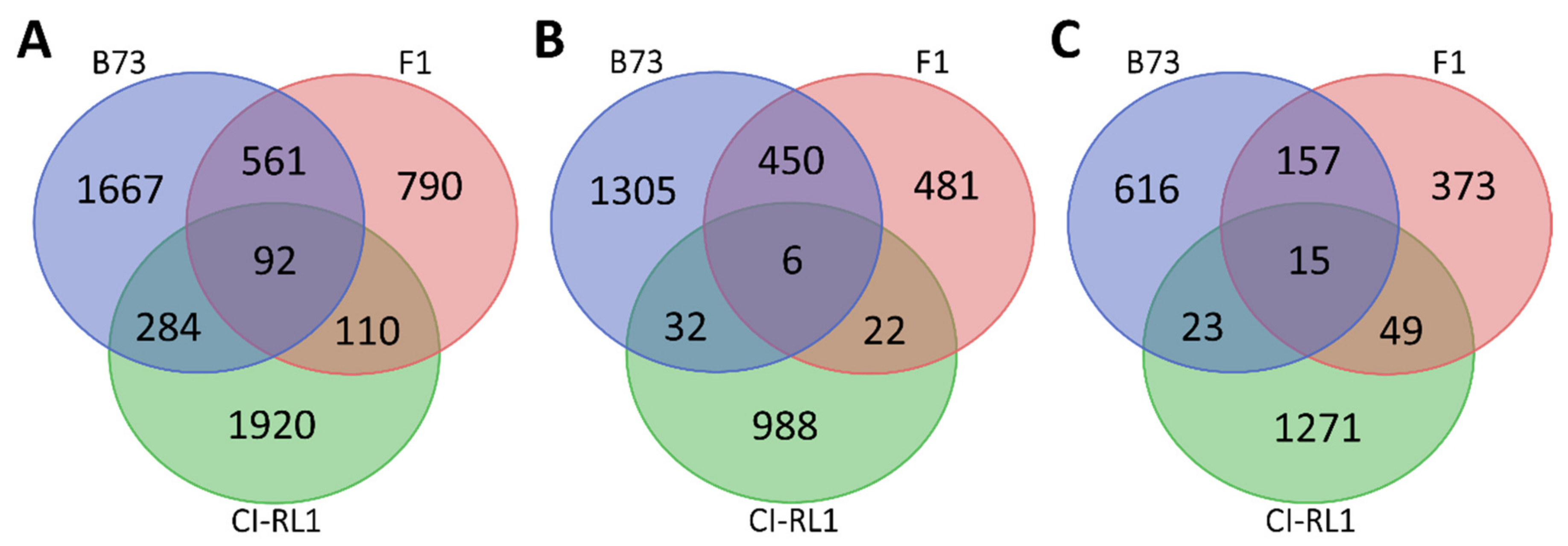 Viruses 14 01803 g003 550
