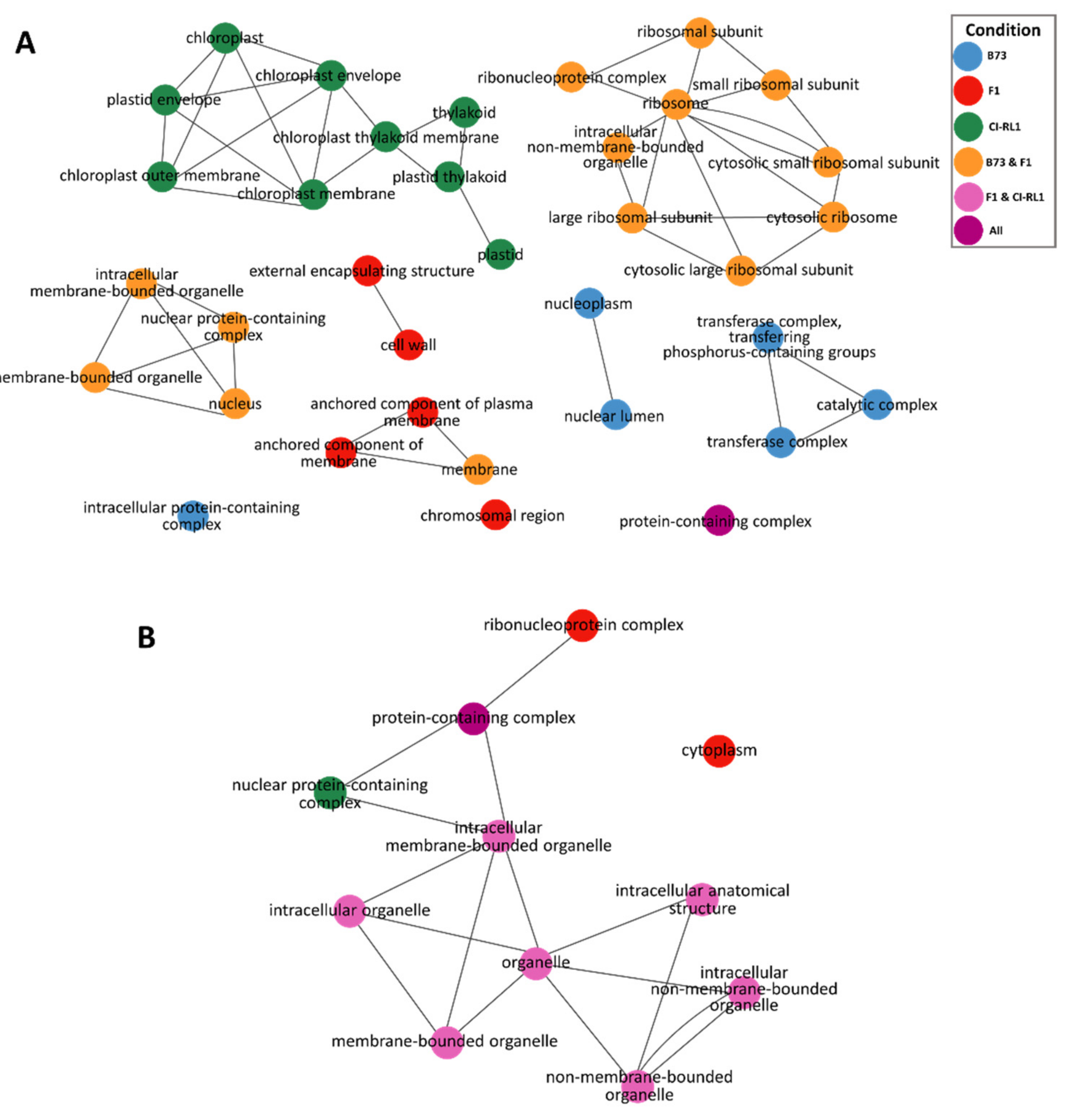 Viruses 14 01803 g004 550