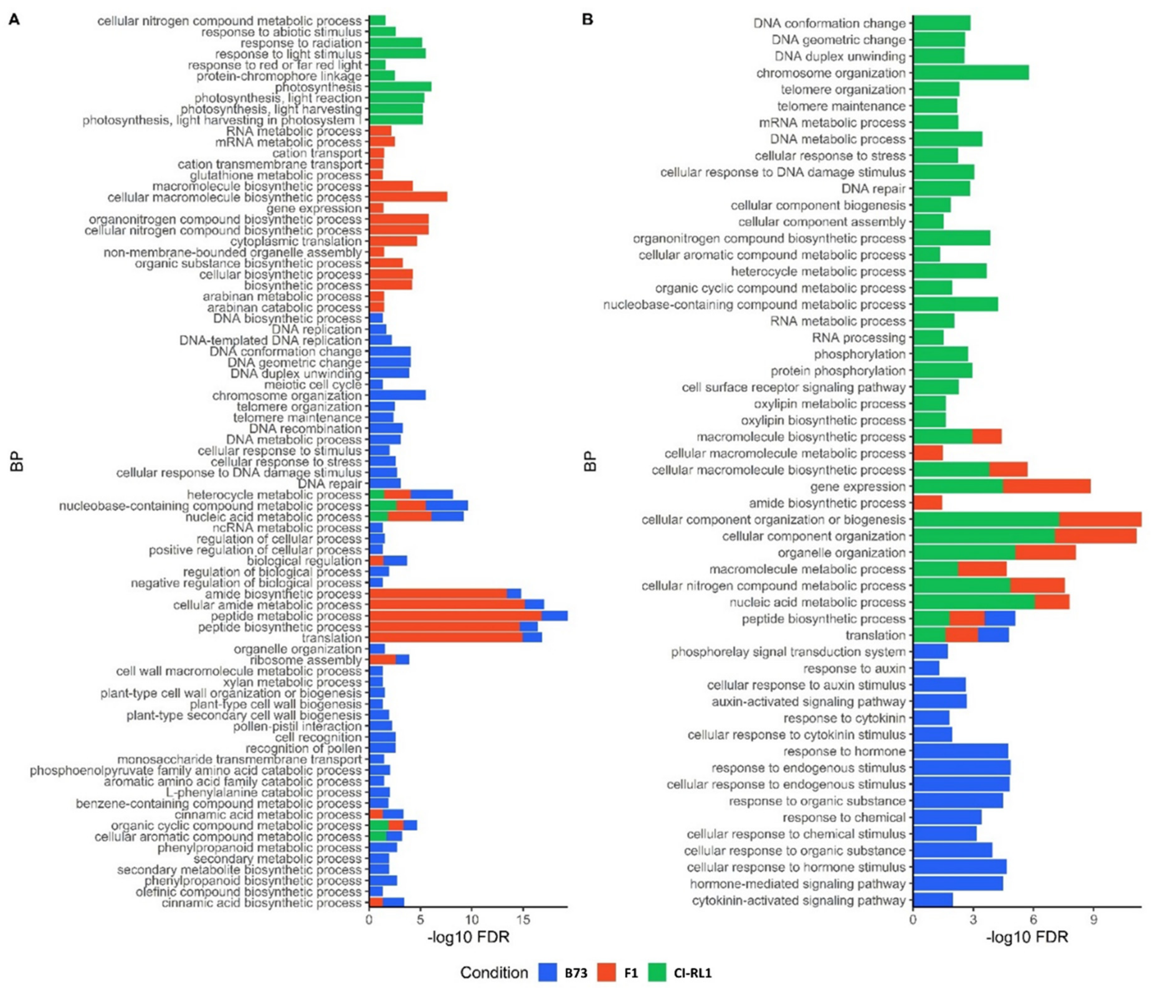 Viruses 14 01803 g005 550