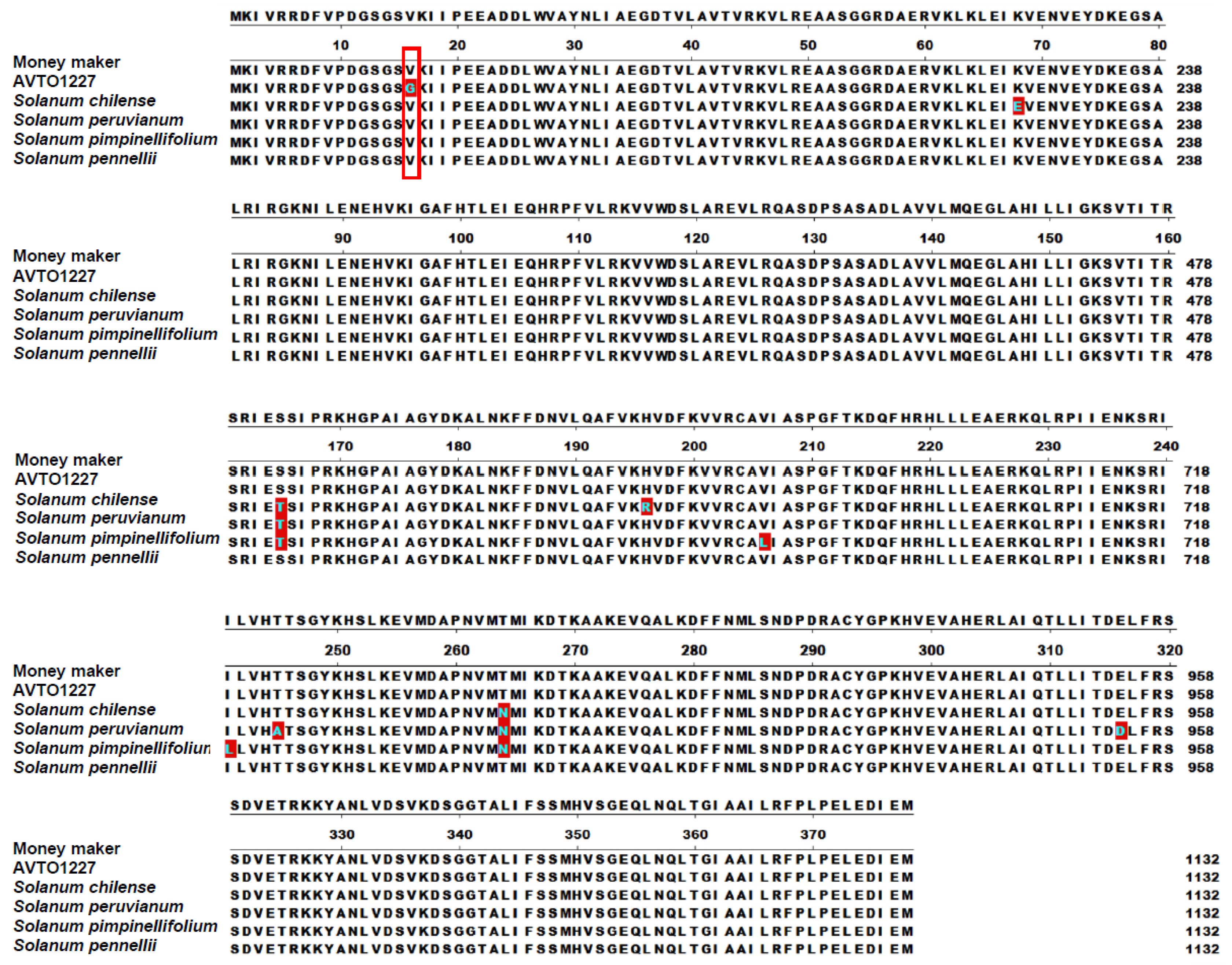 Viruses 14 01804 g001
