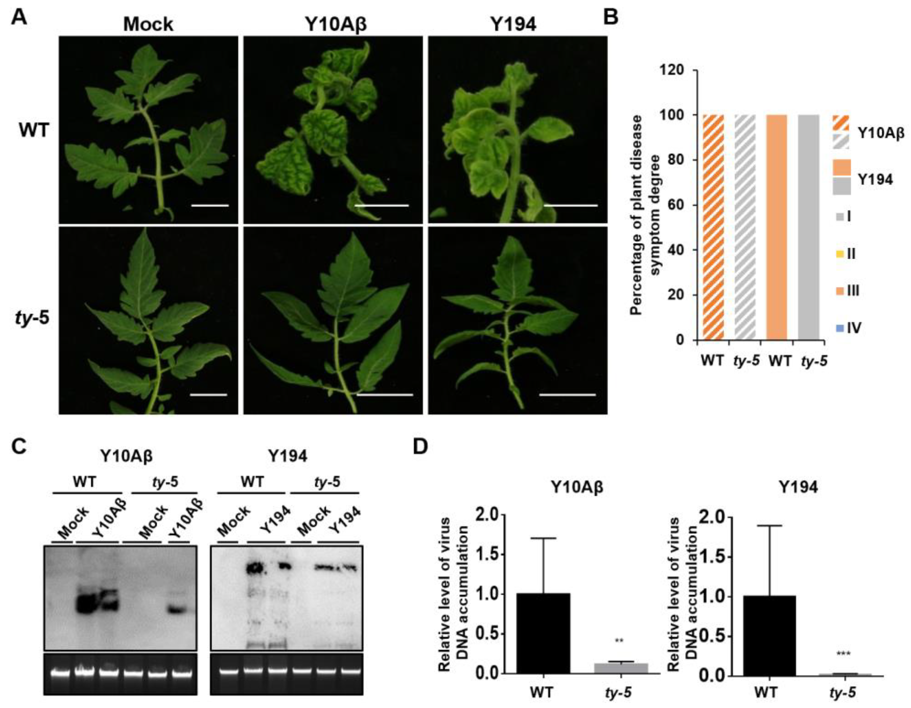 Viruses 14 01804 g002