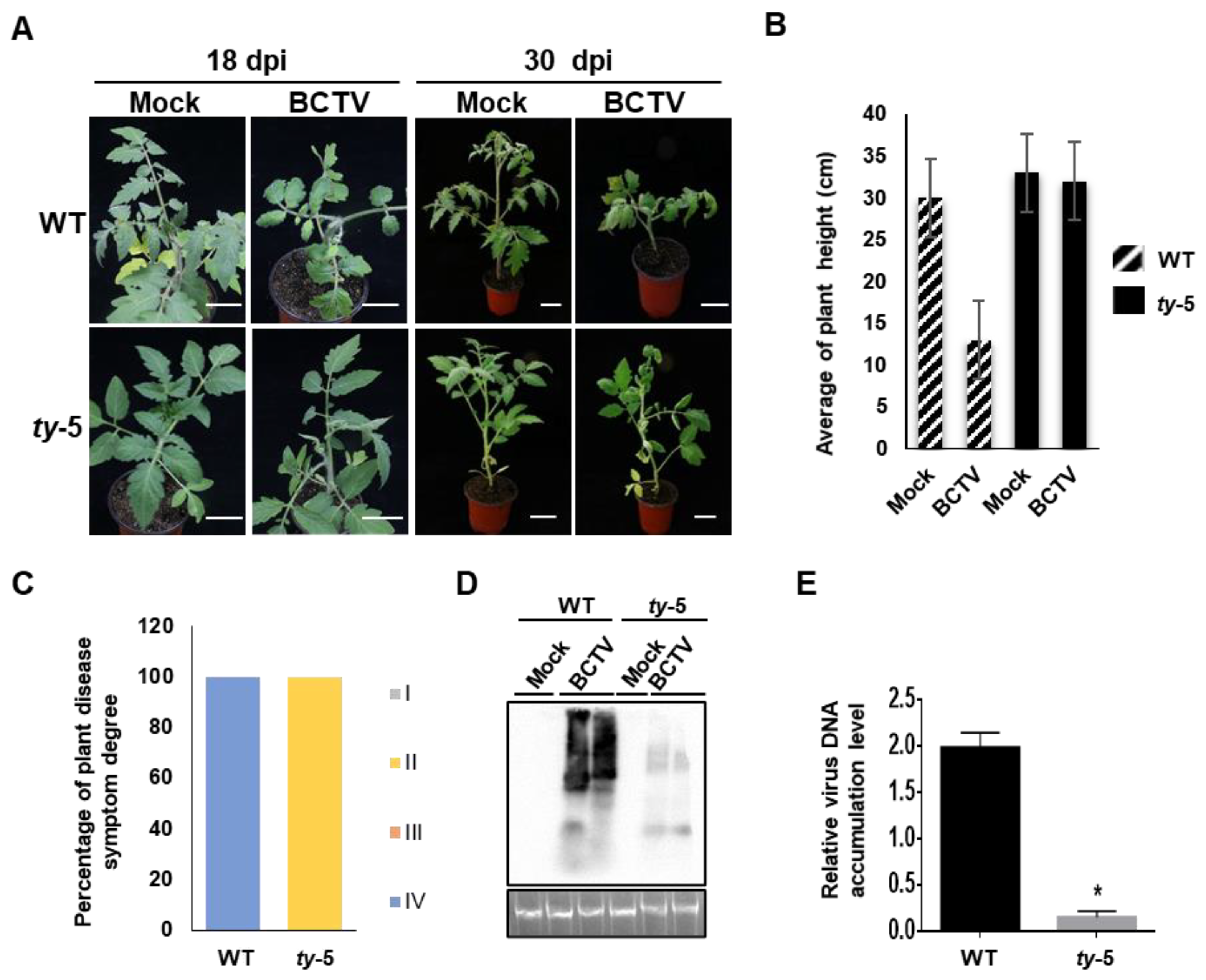 Viruses 14 01804 g003