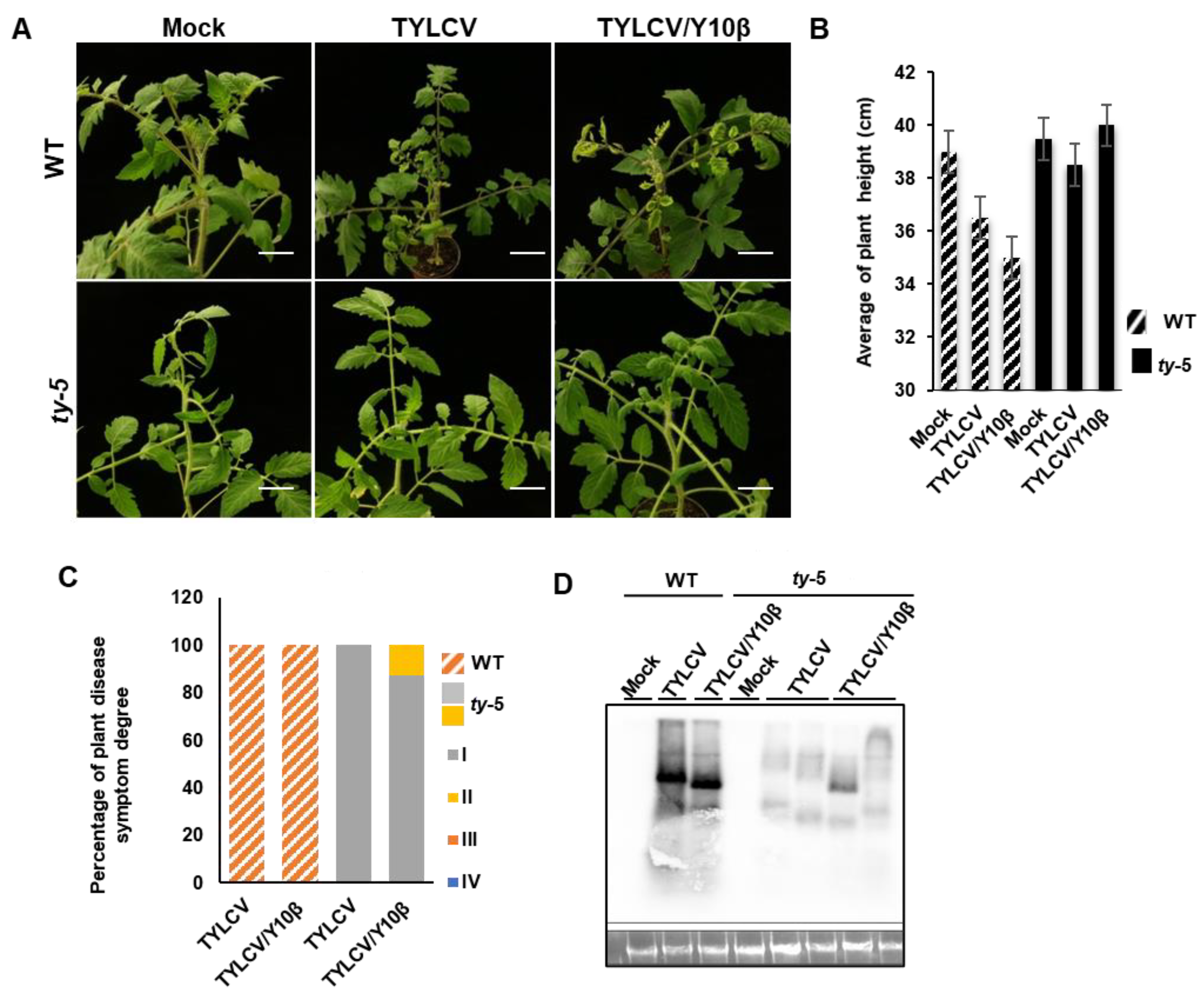 Viruses 14 01804 g004