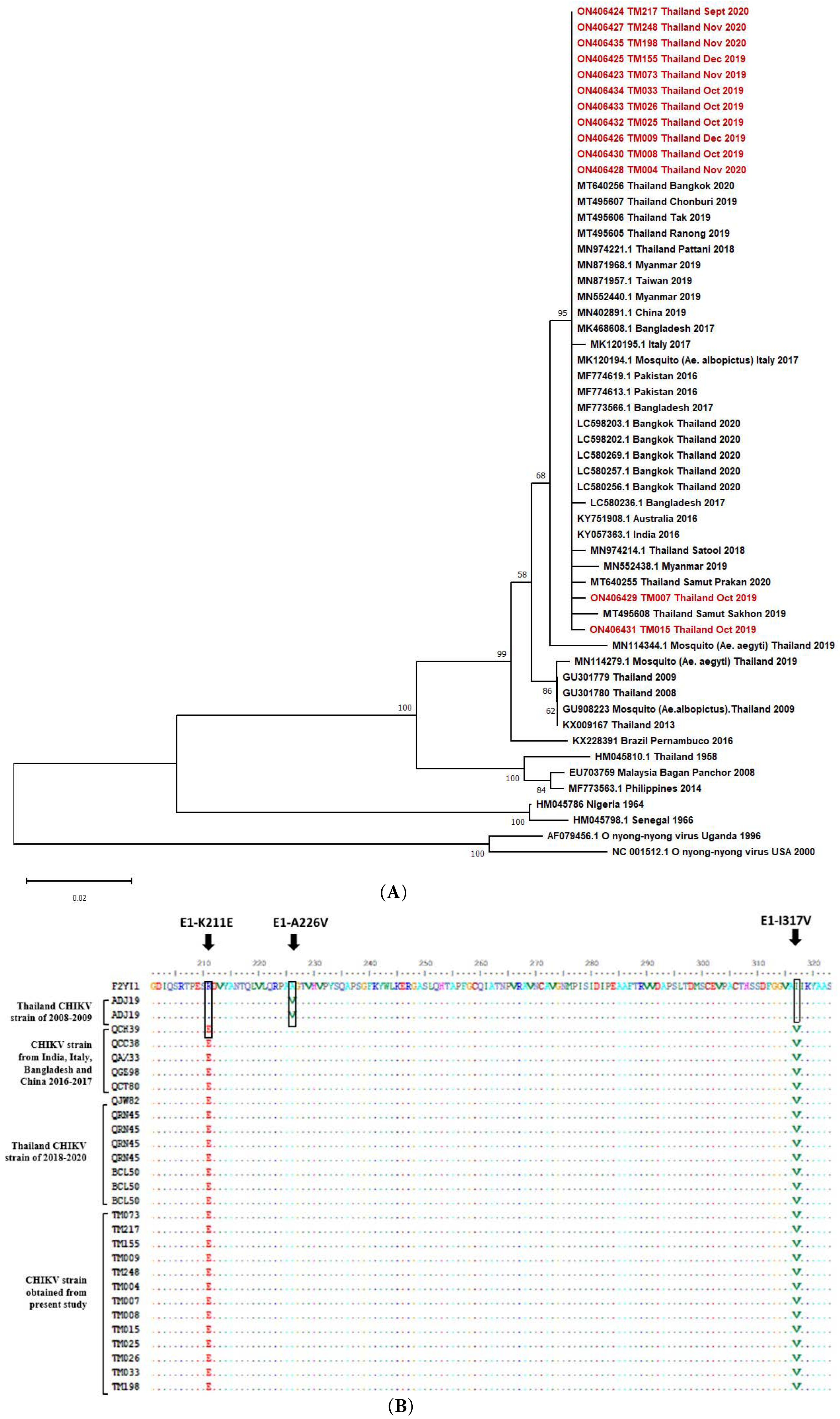 Viruses 14 01805 g004