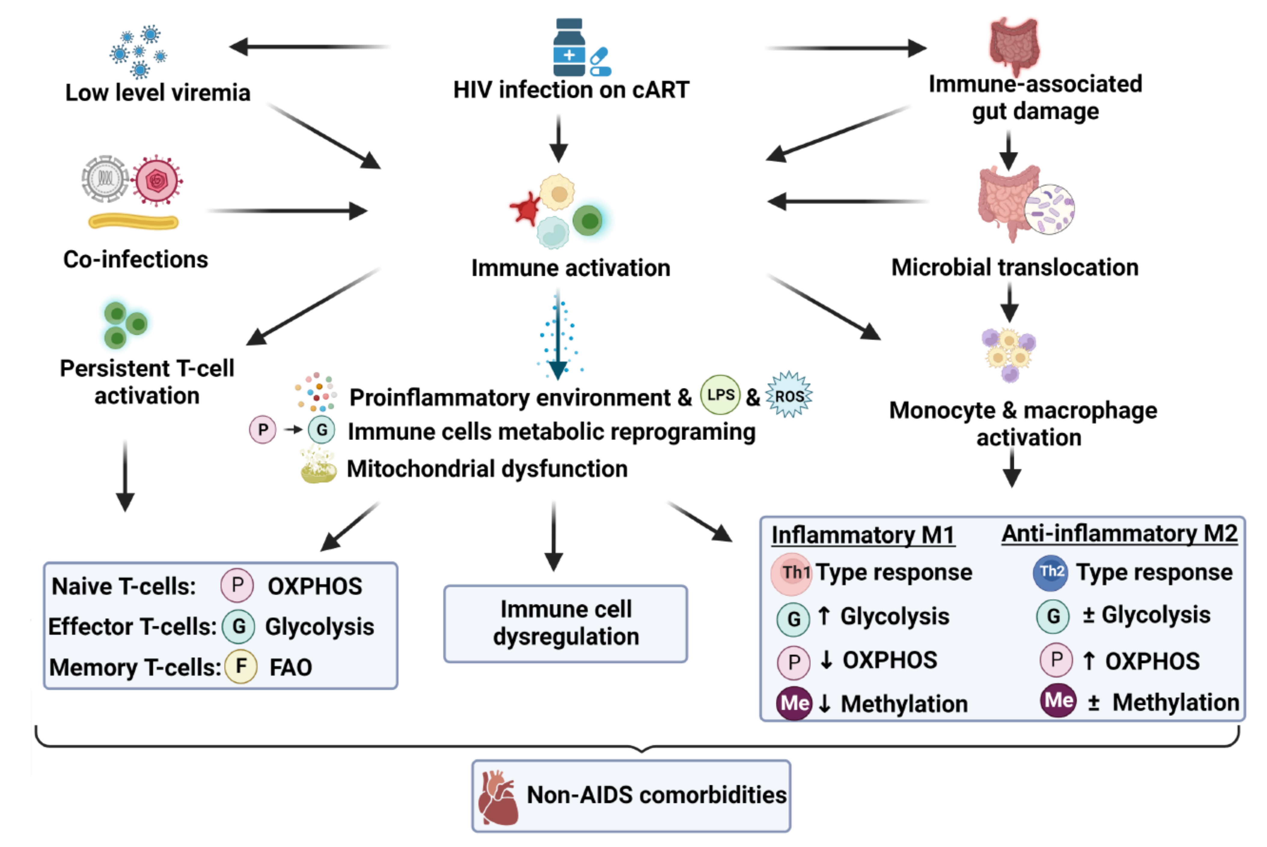 Viruses 14 01813 g001 550