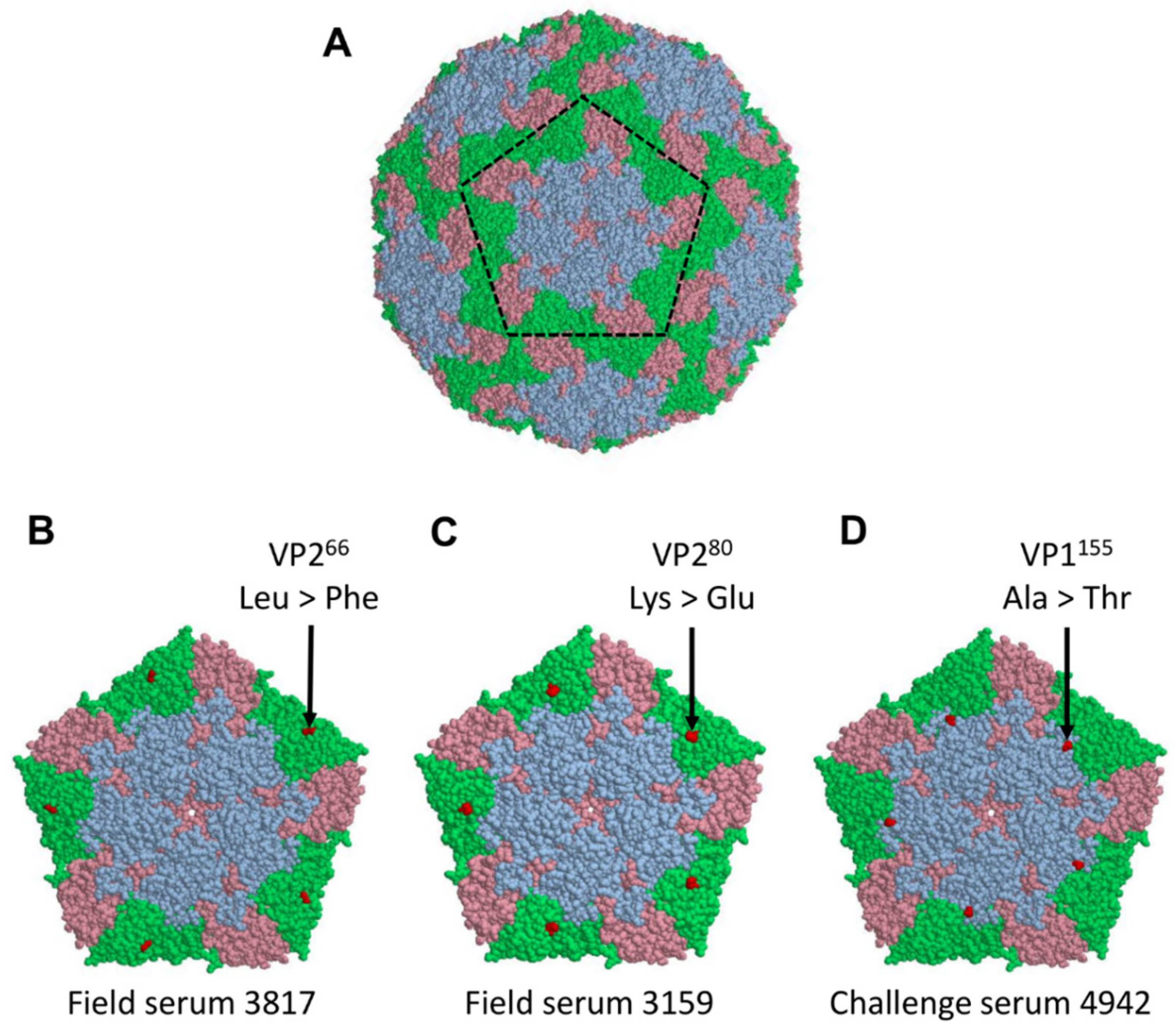 Viruses 14 01820 g004