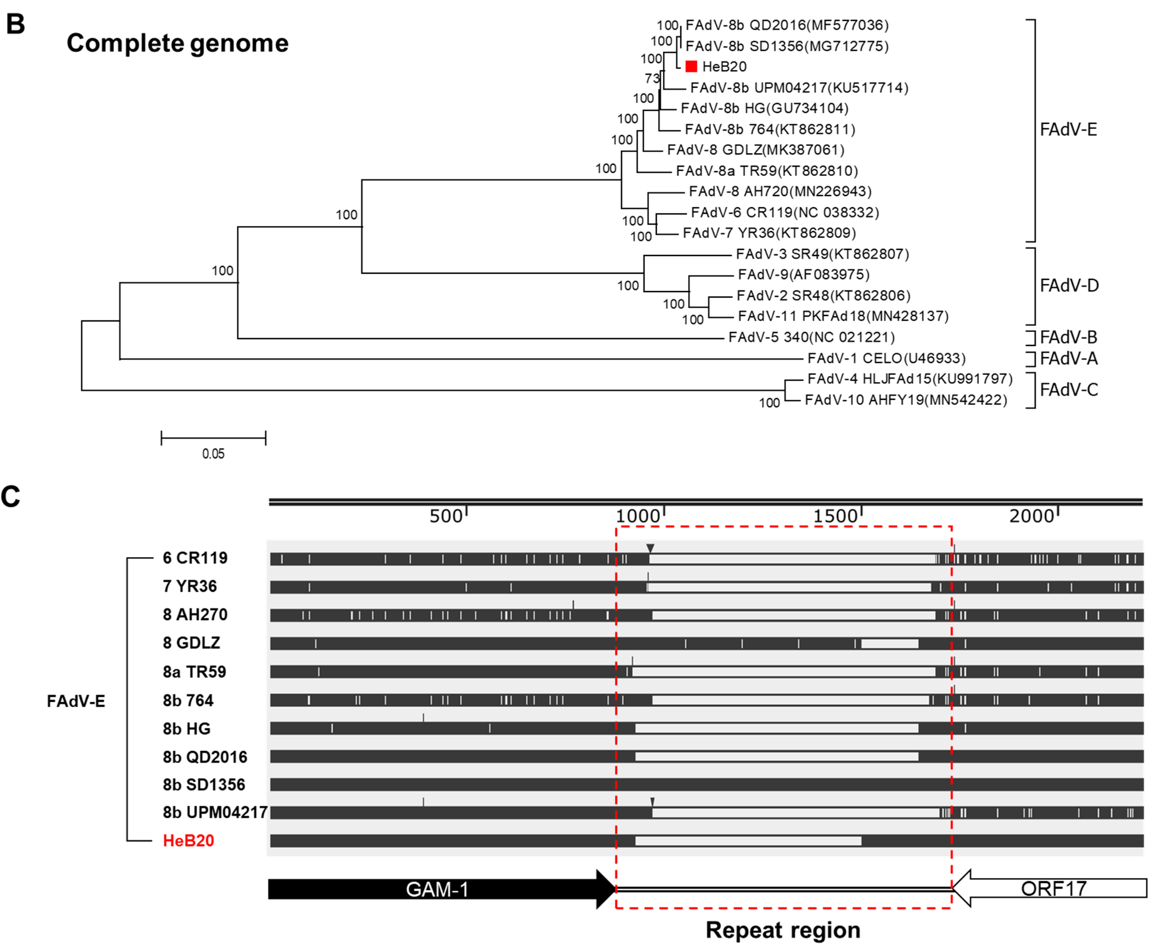 Viruses 14 01826 g002b