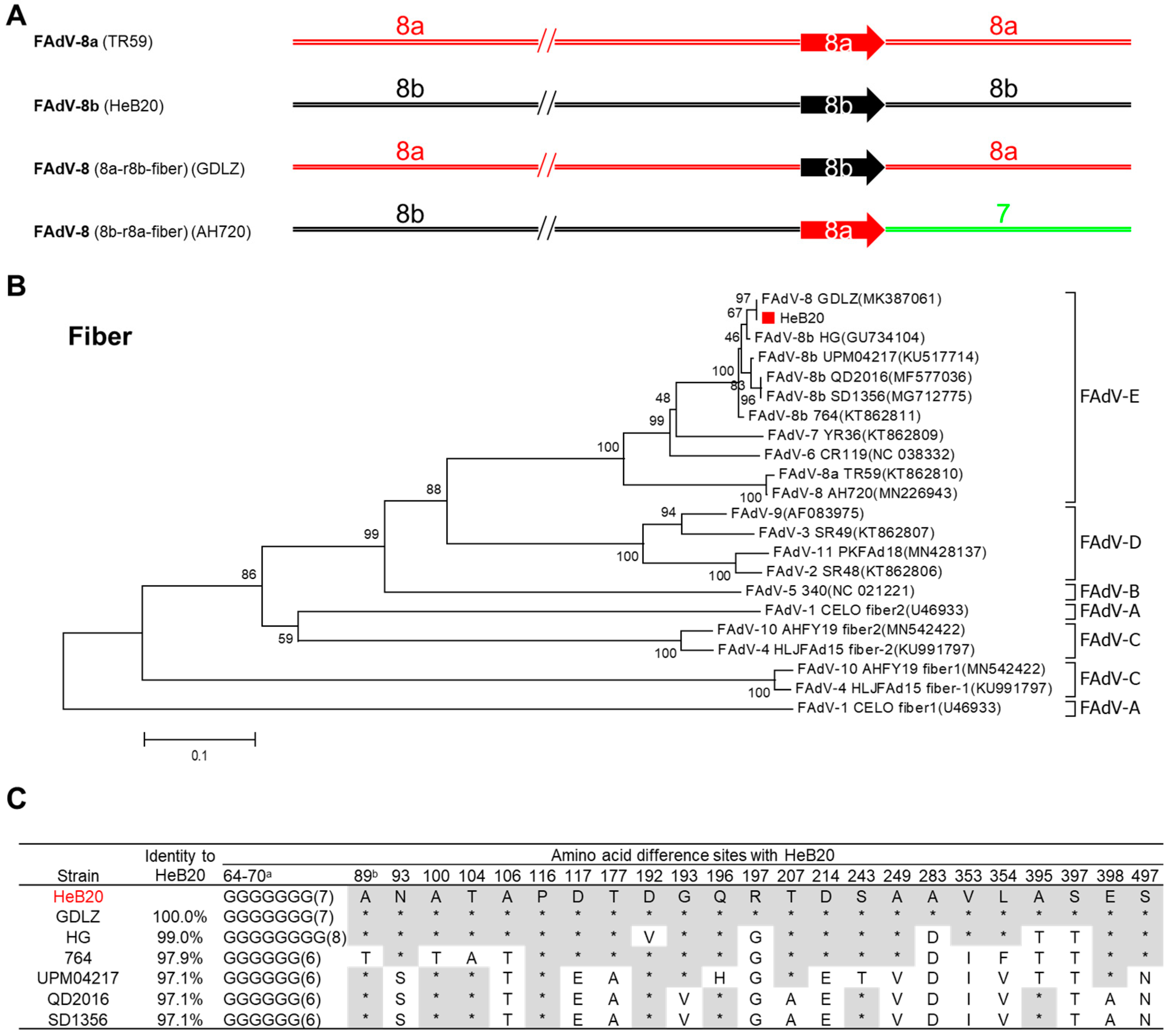 Viruses 14 01826 g003