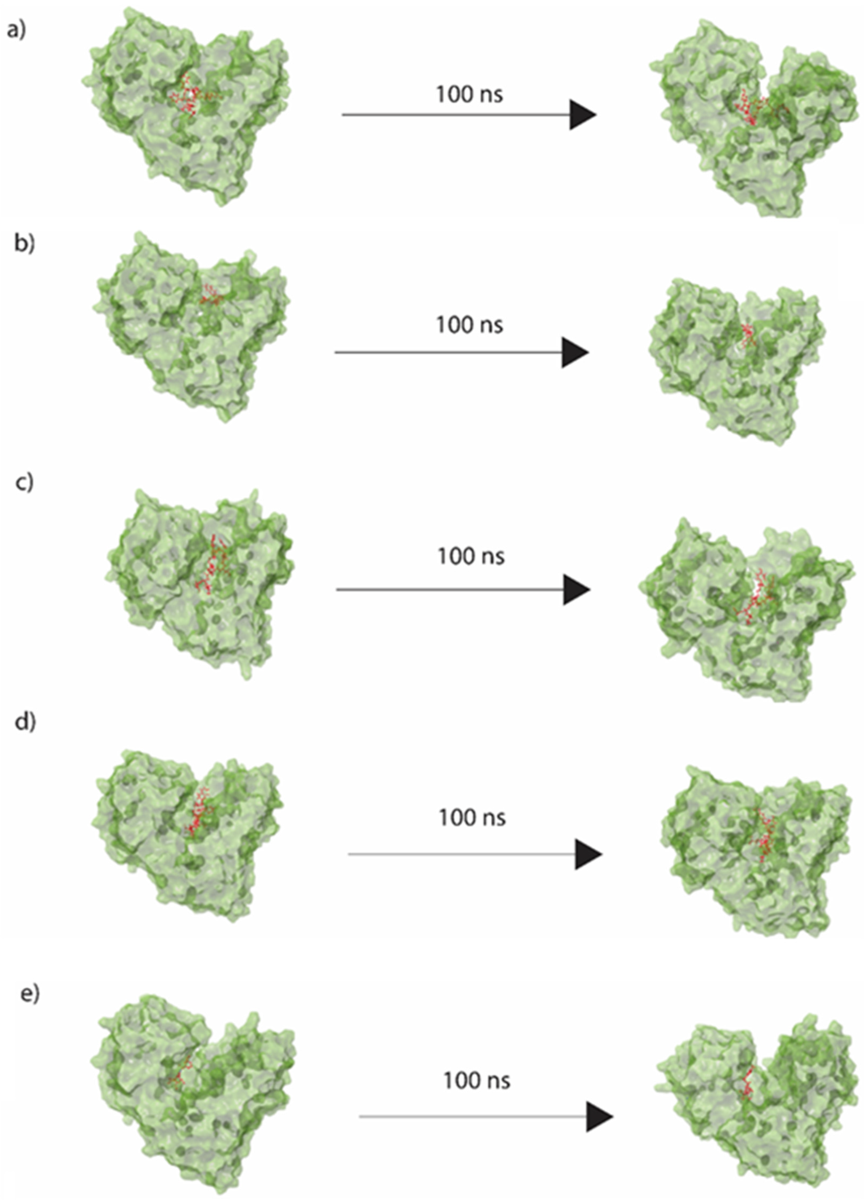 Viruses 14 01827 g005 Viruses 14 01827 g005