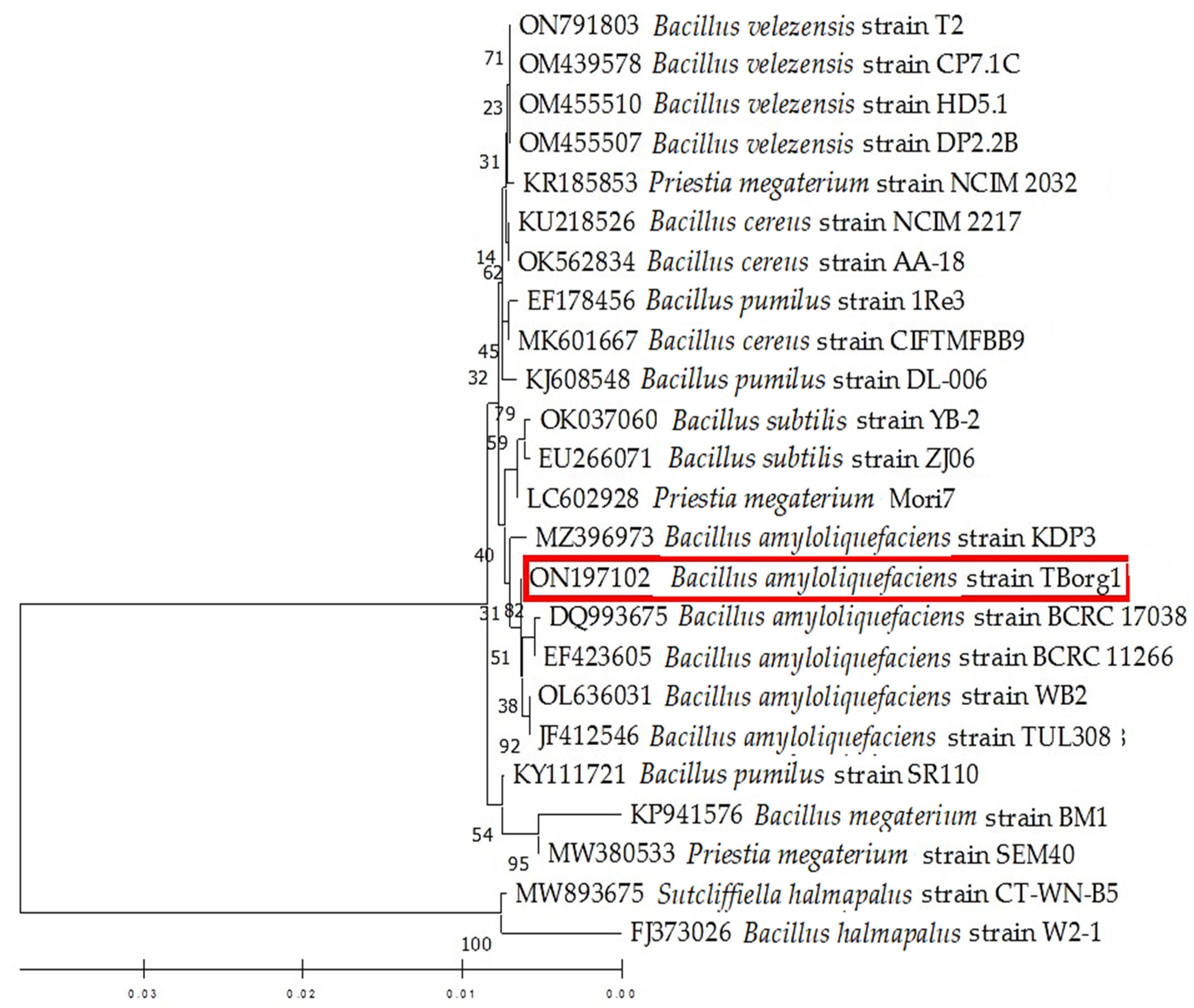 Viruses 14 01830 g002