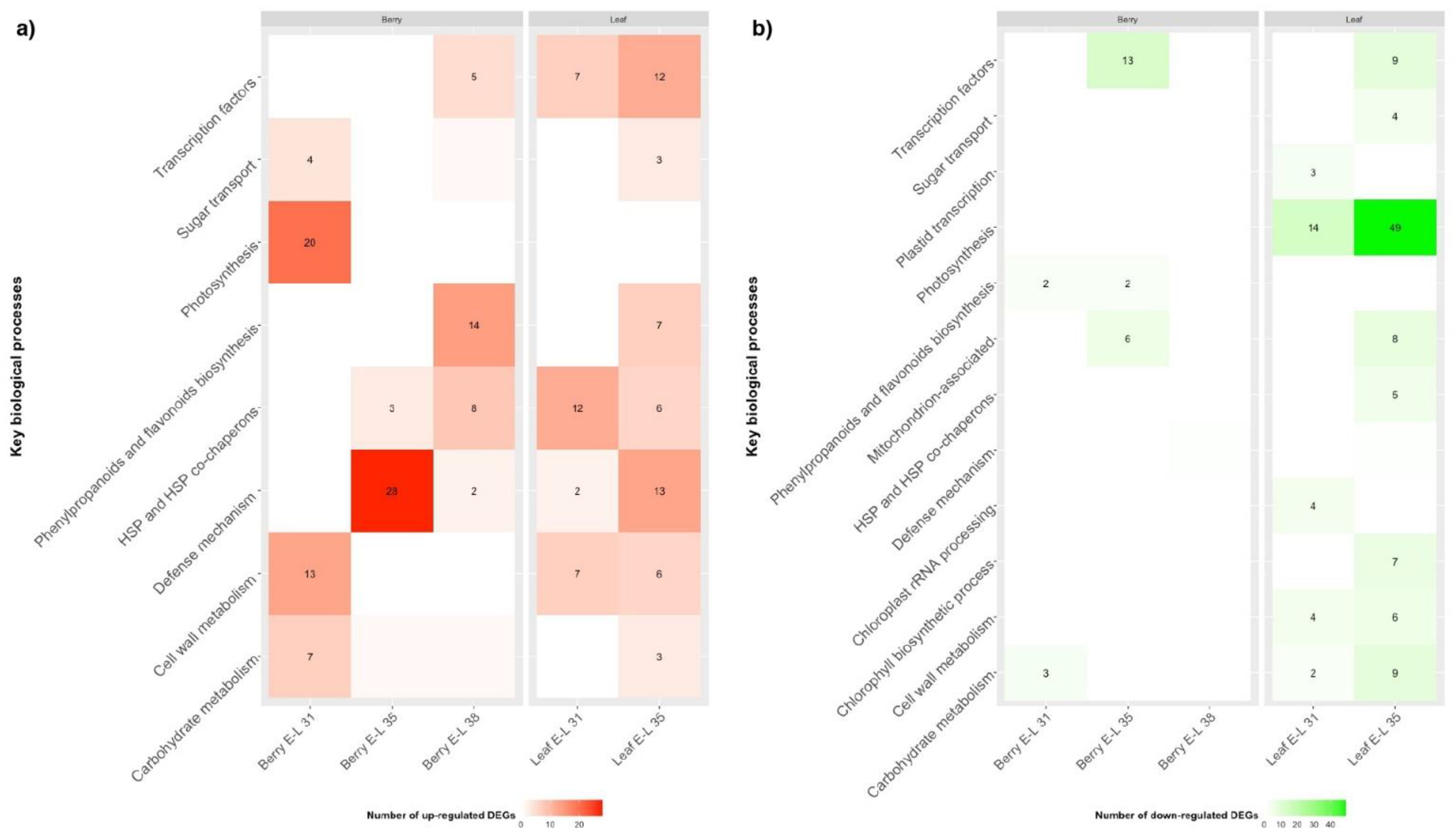 Viruses 14 01831 g002 Viruses 14 01831 g002