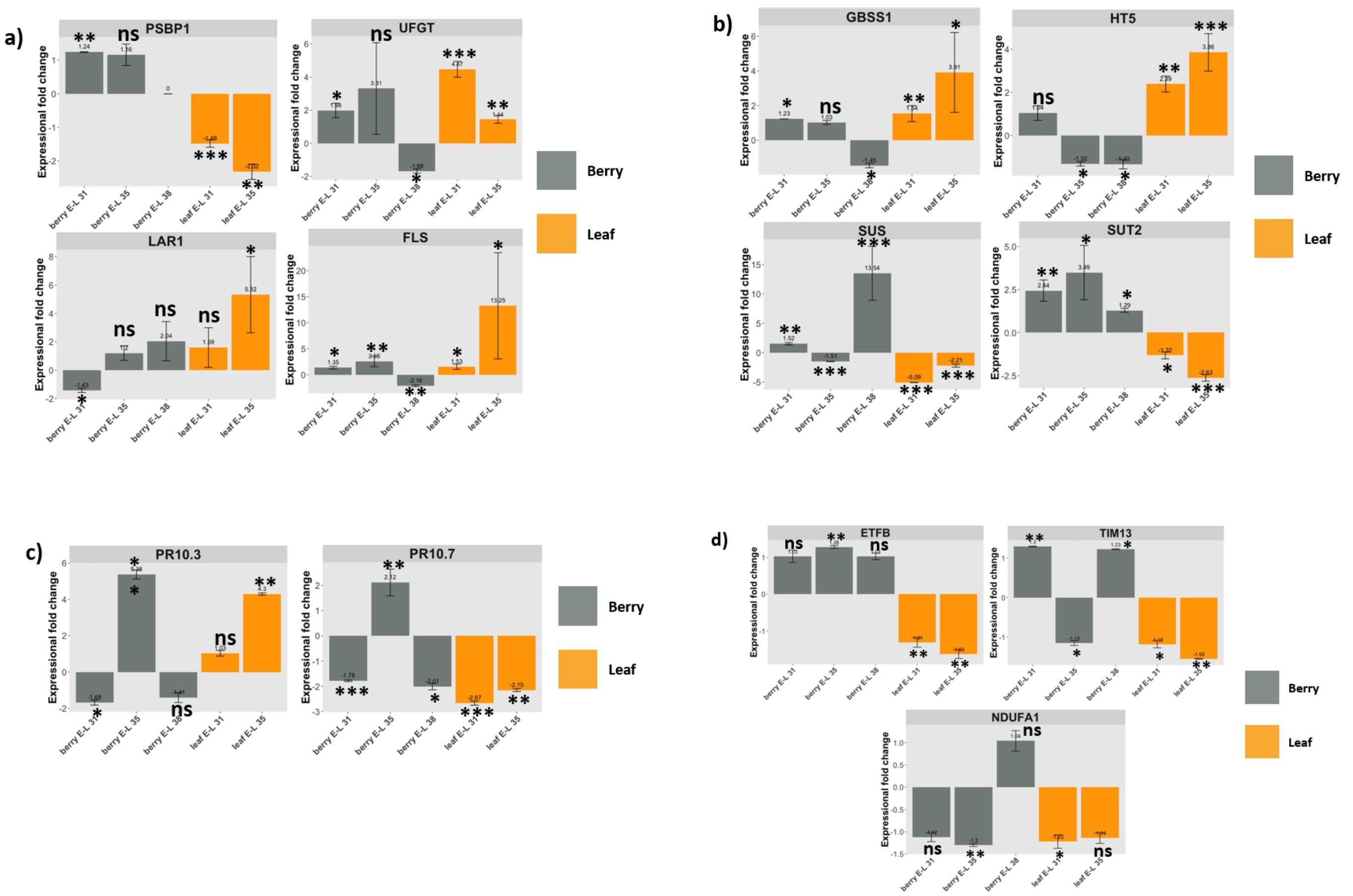 Viruses 14 01831 g003 Viruses 14 01831 g003