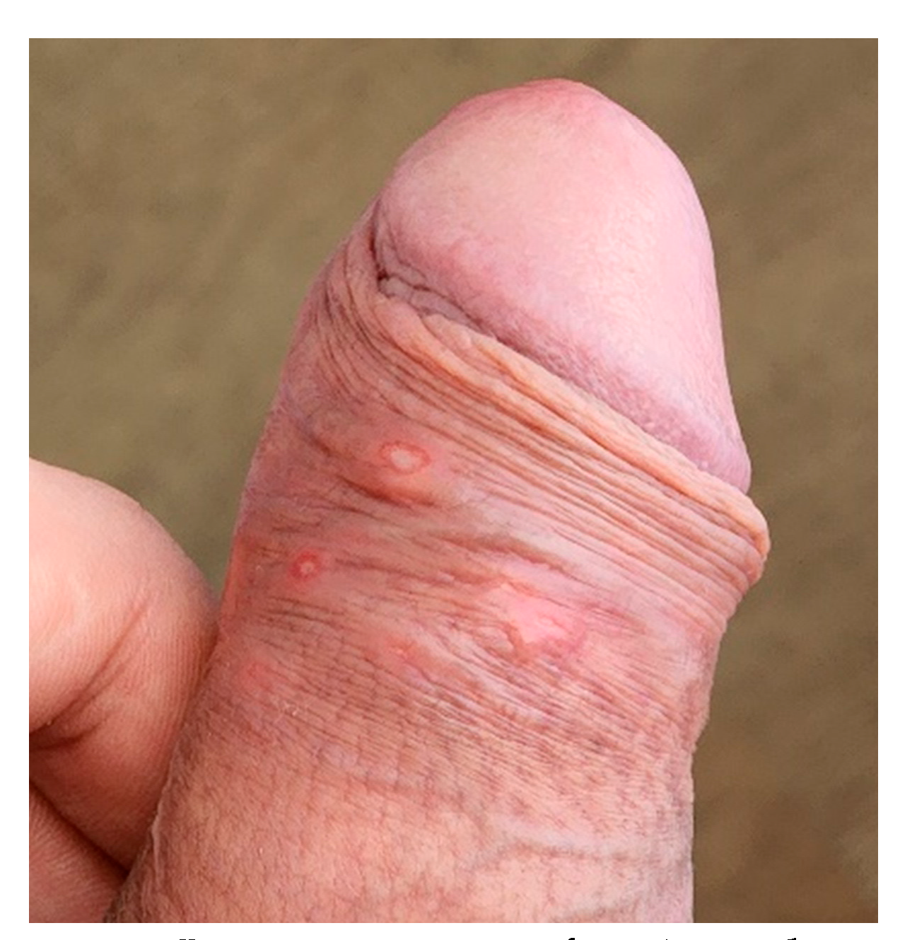 Viruses 14 01841 g002